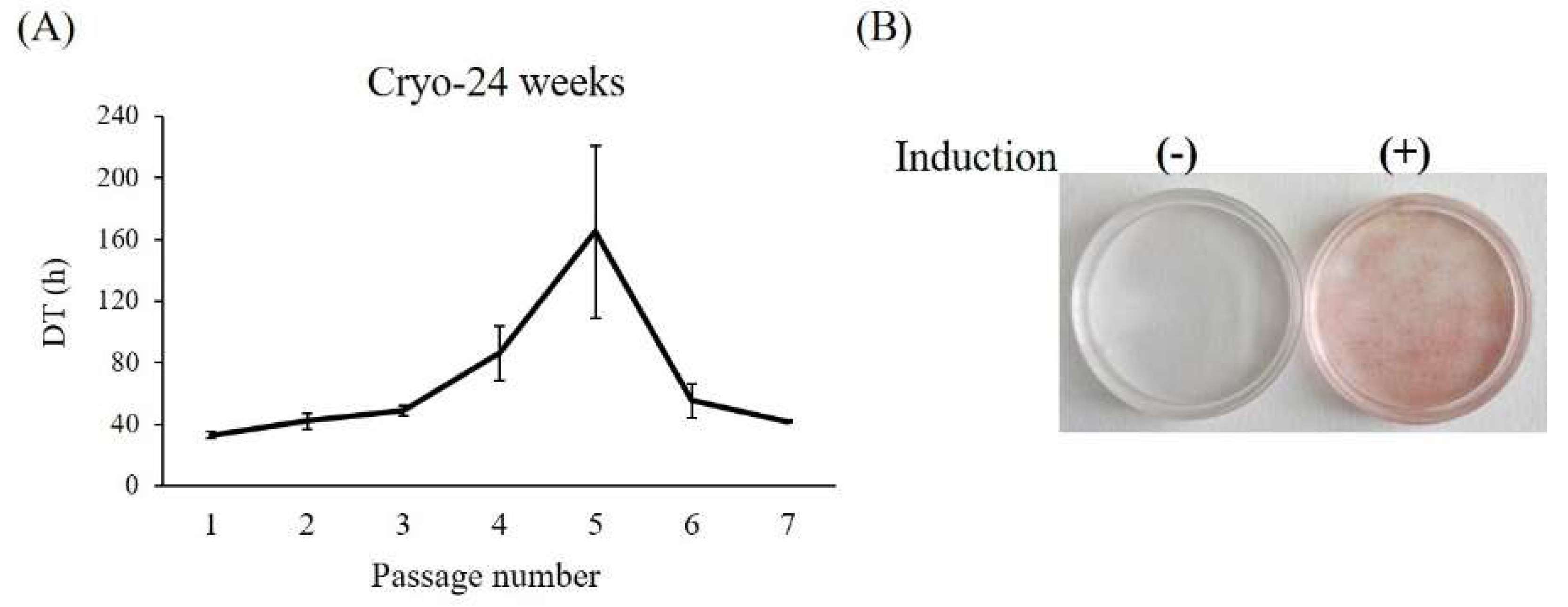 Ijms 19 01963 g006 Ijms 19 01963 g006