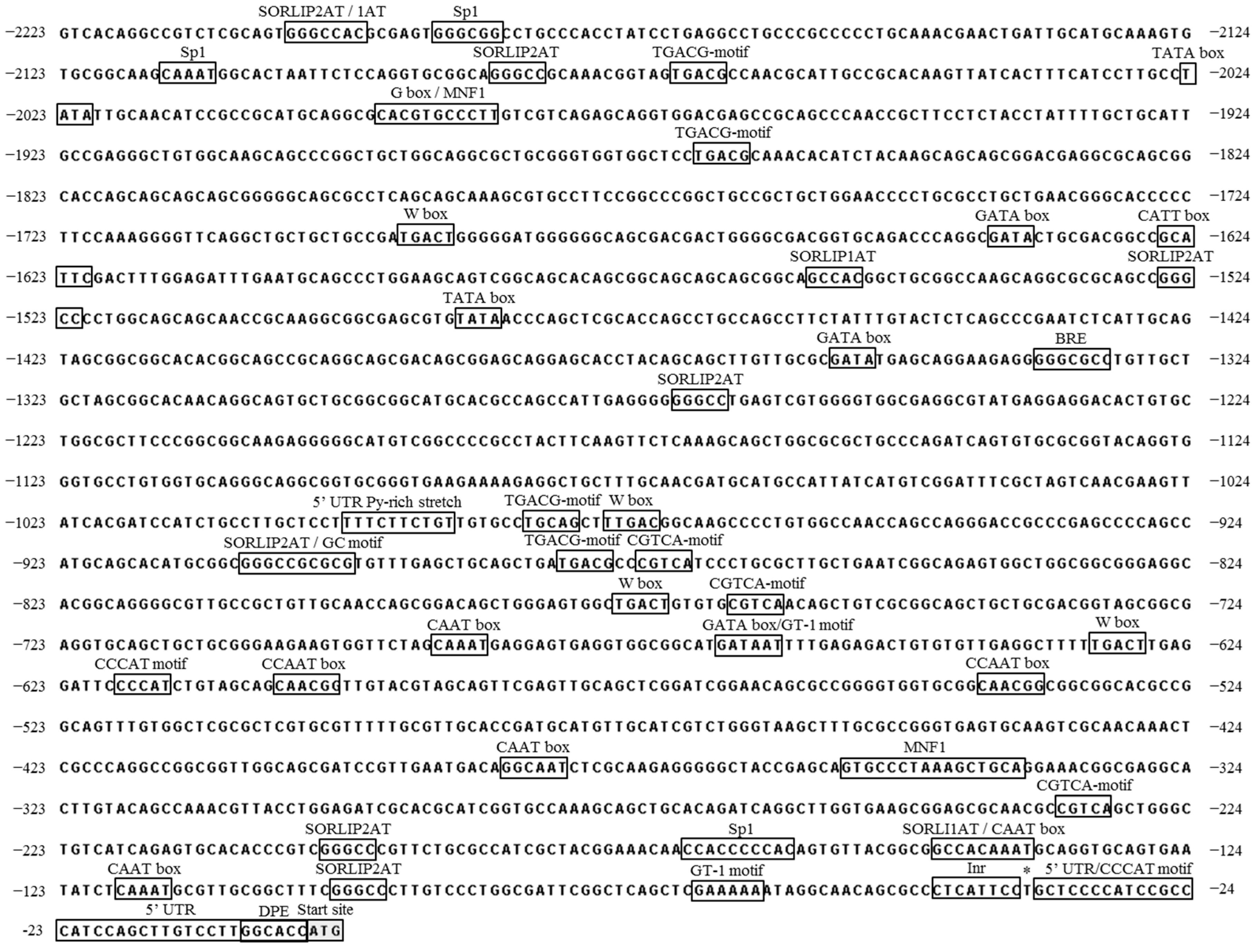 Ijms 19 01969 g002 550