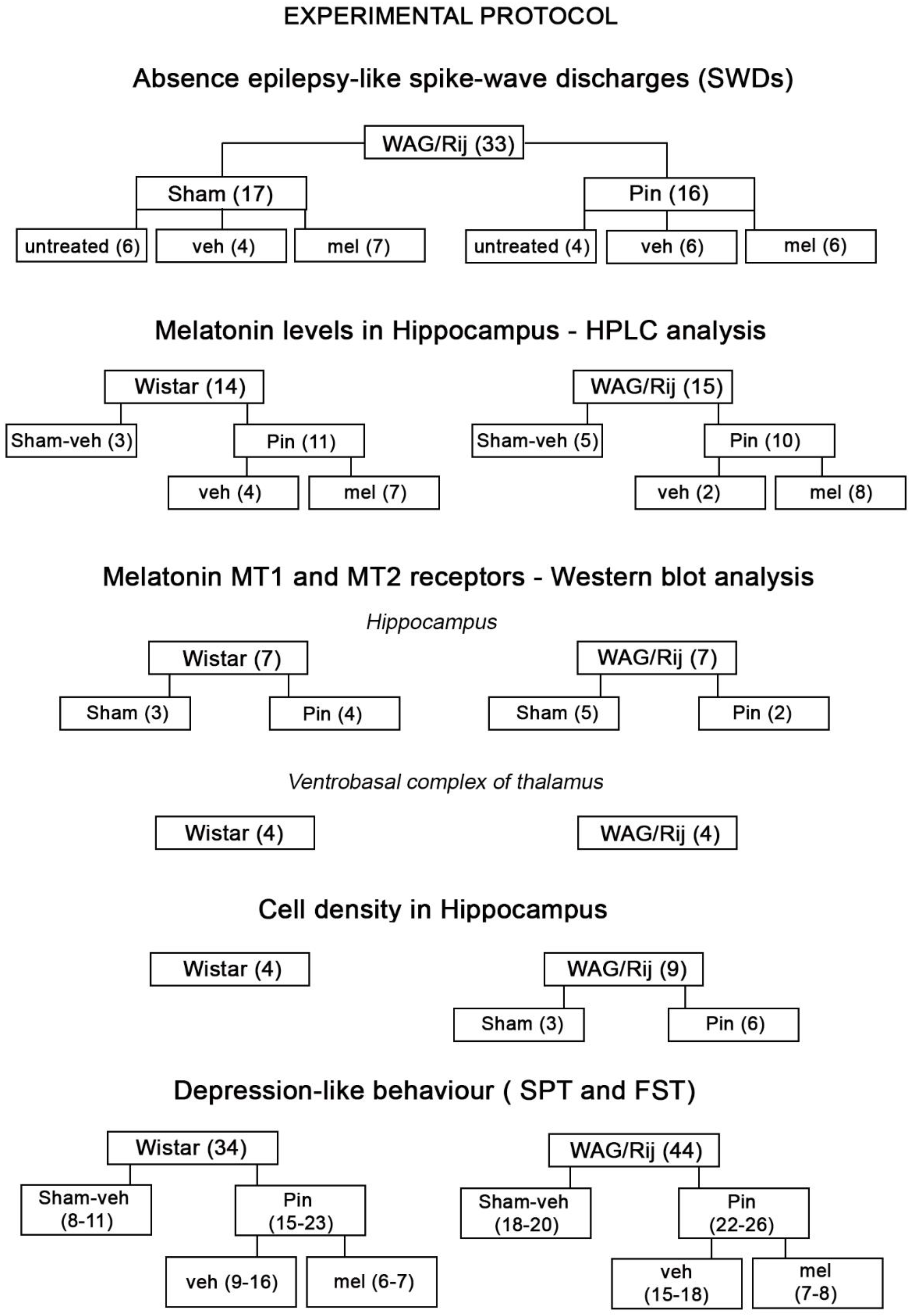 Ijms 19 01973 sch001
