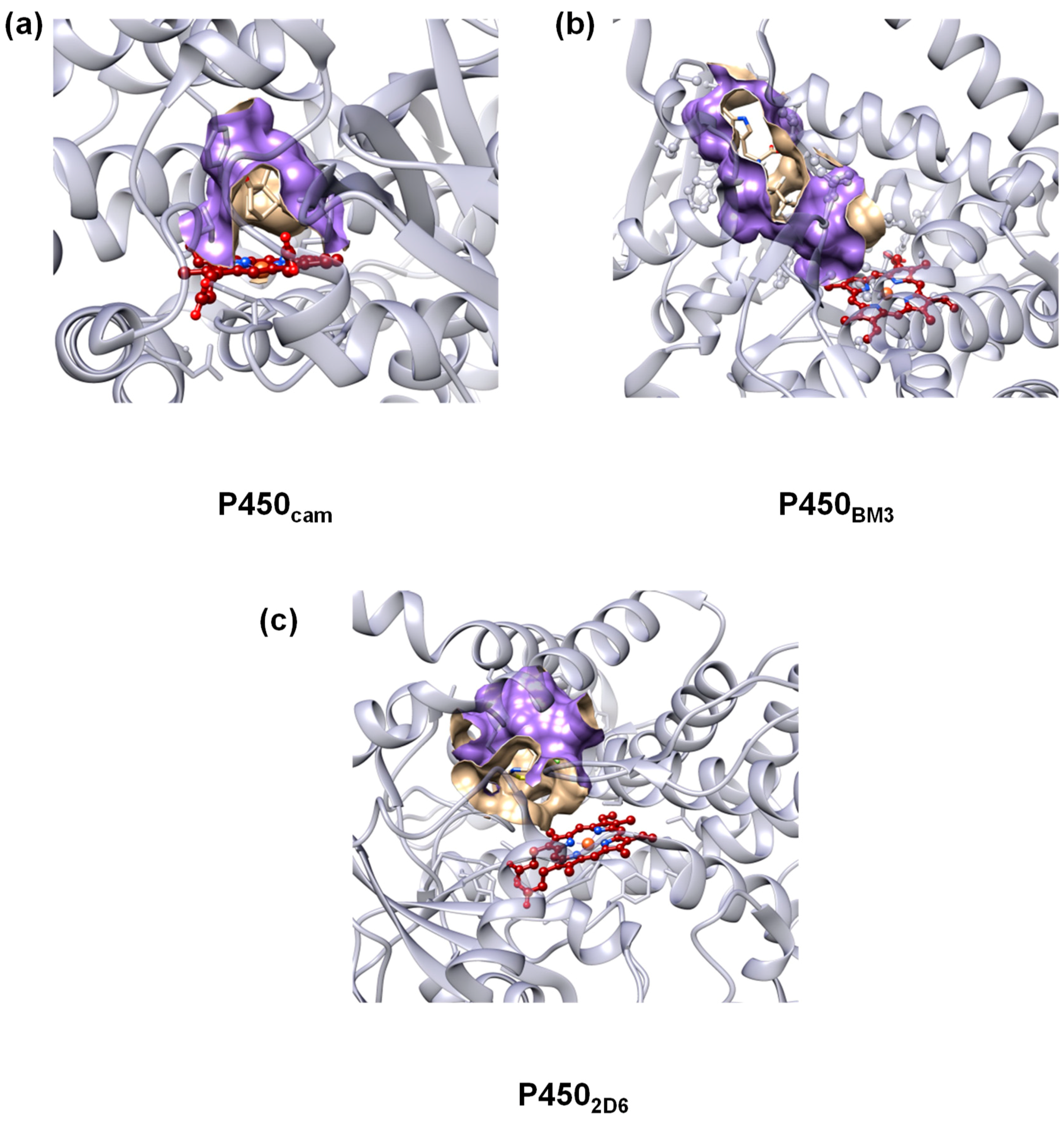 Ijms 19 01974 g001