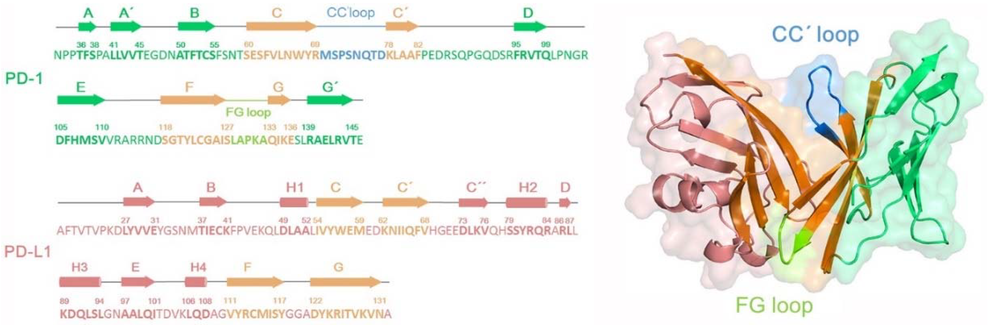 Ijms 19 01984 g003 Ijms 19 01984 g003