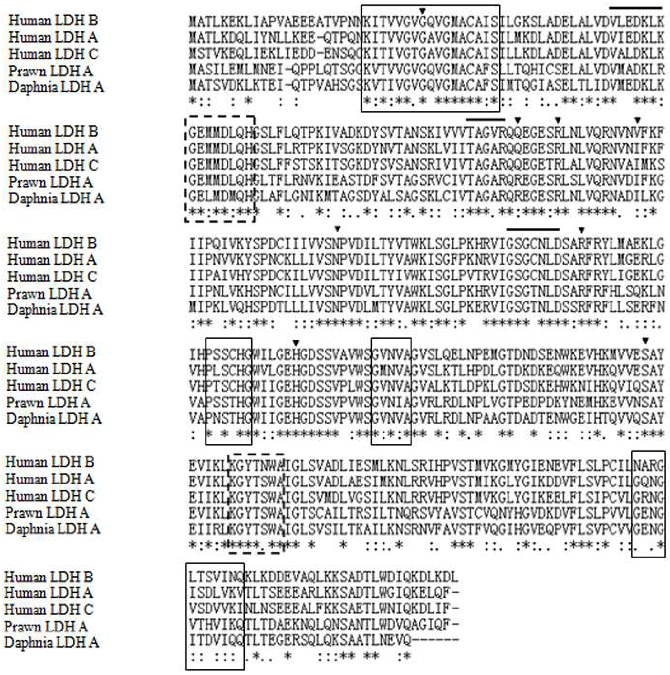 Ijms 19 01990 g002 550