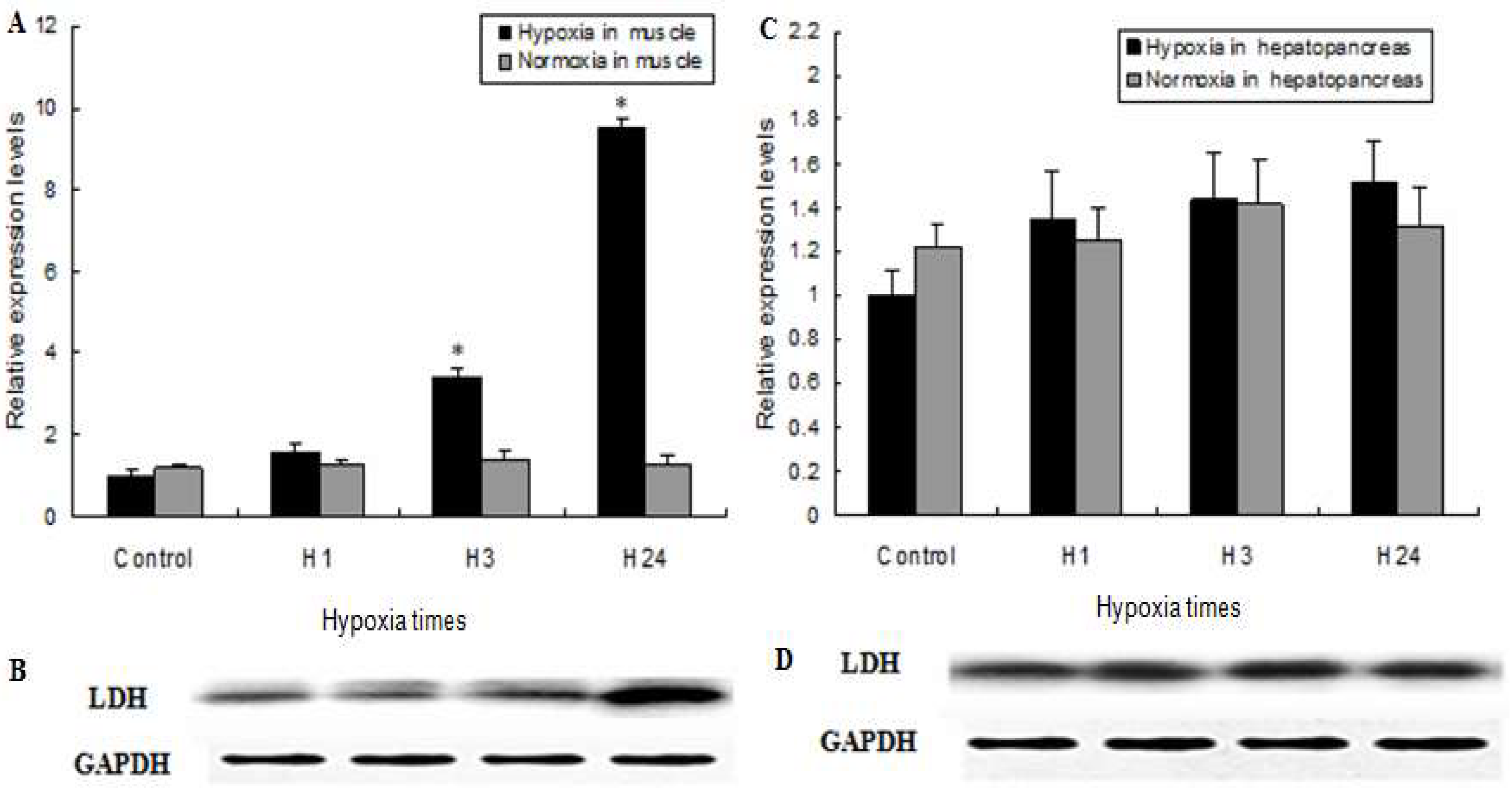 Ijms 19 01990 g006 550