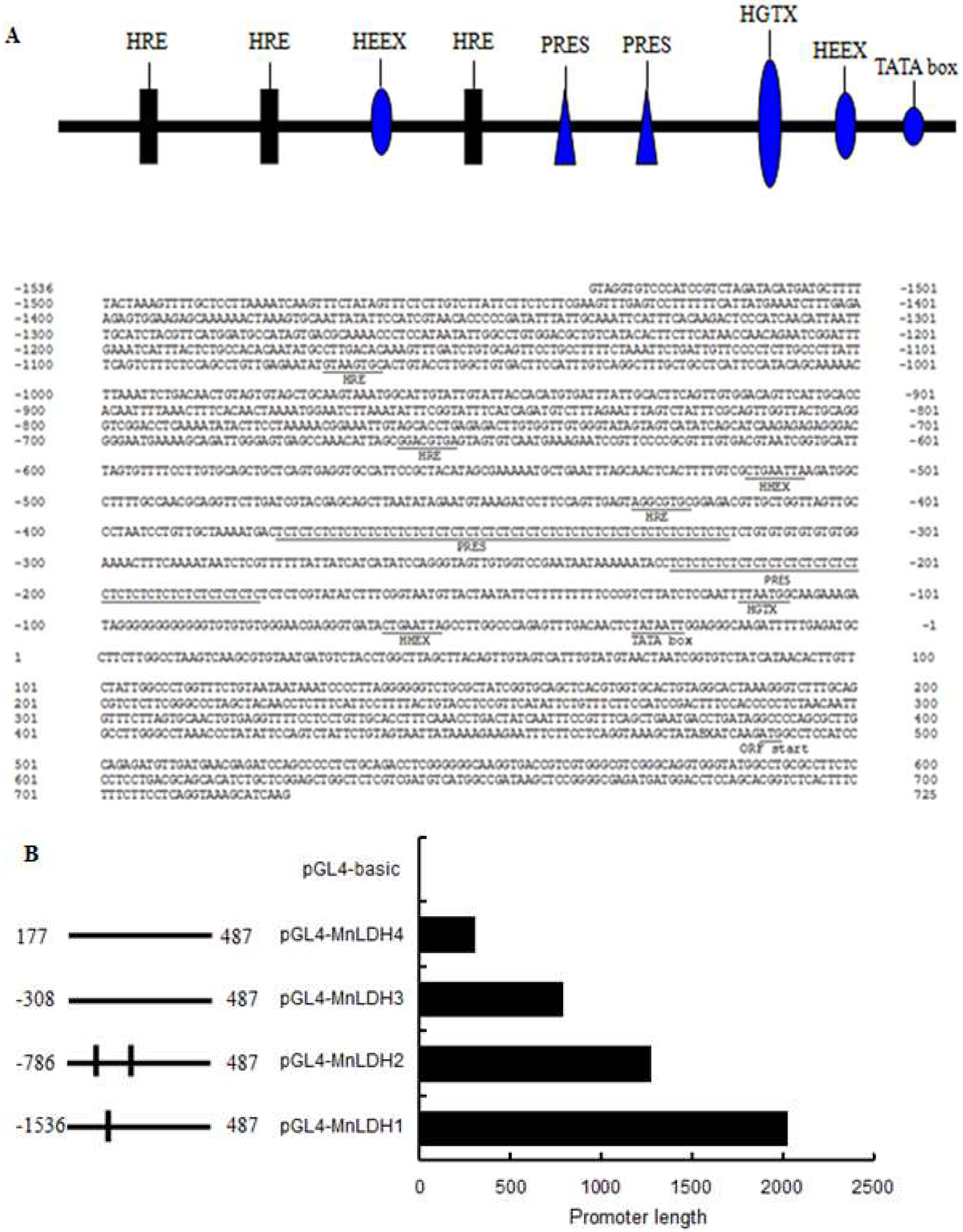 Ijms 19 01990 g008a 550
