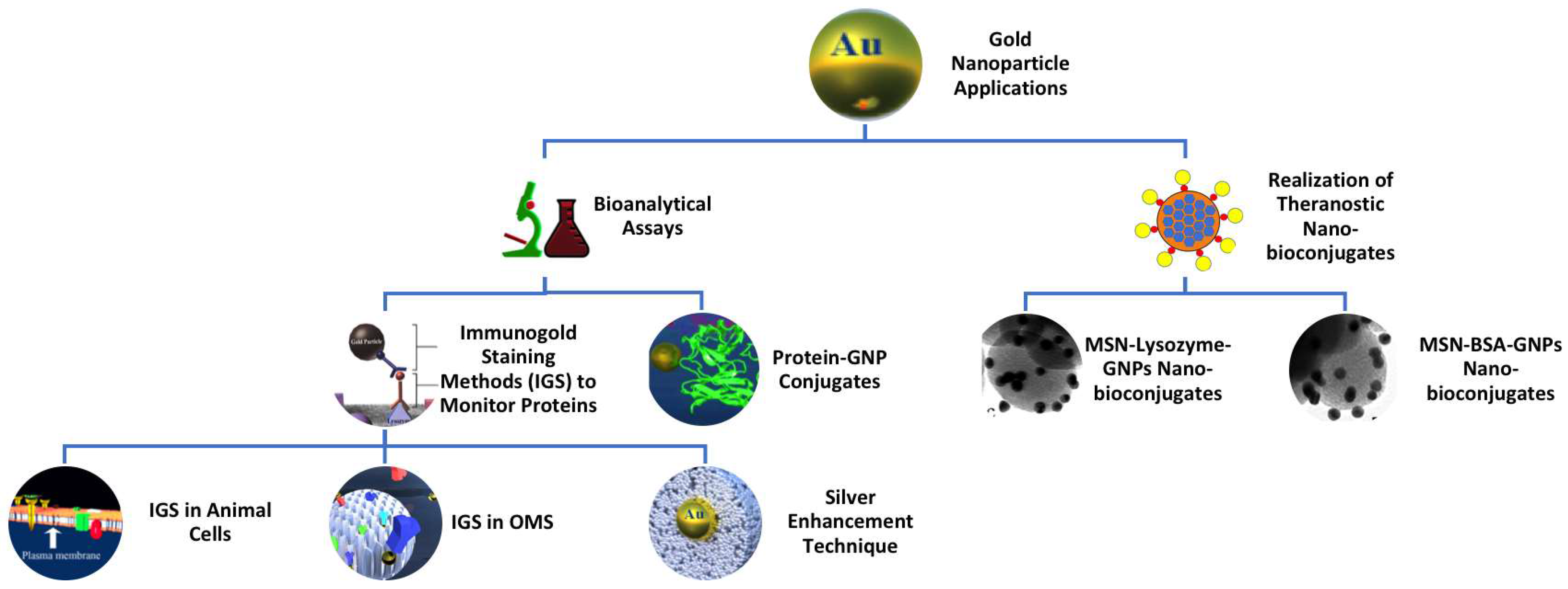 Ijms 19 01991 sch001