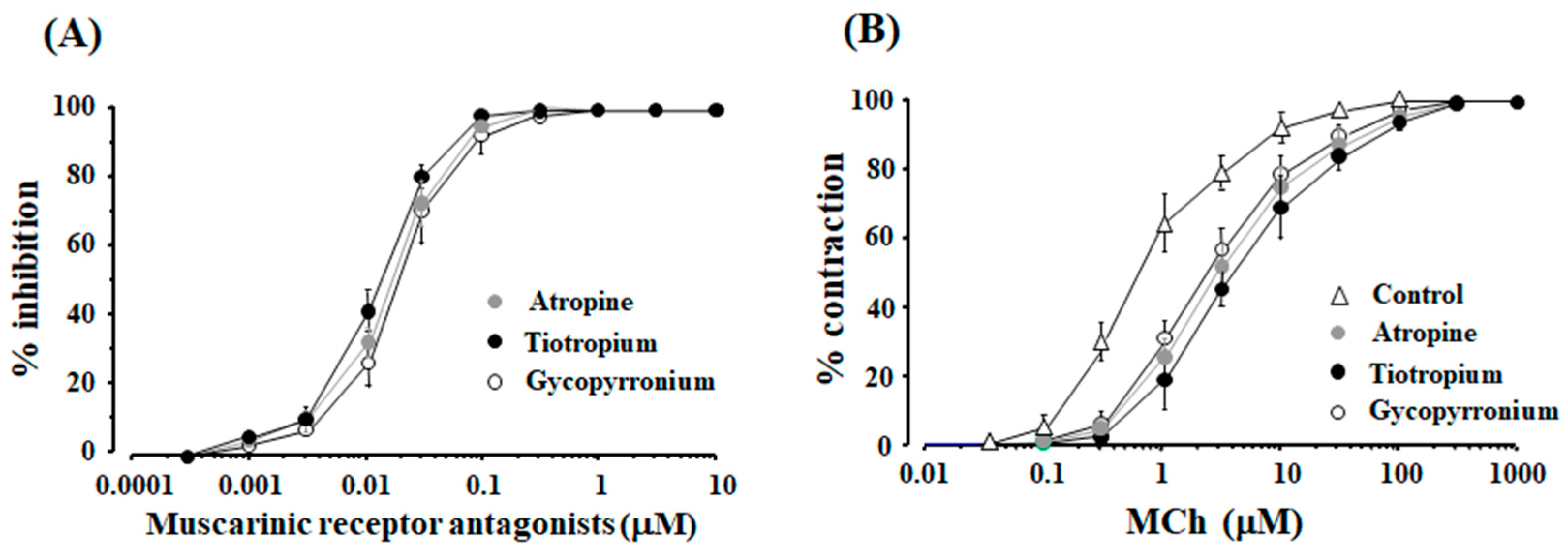 Ijms 19 01999 g003 Ijms 19 01999 g003