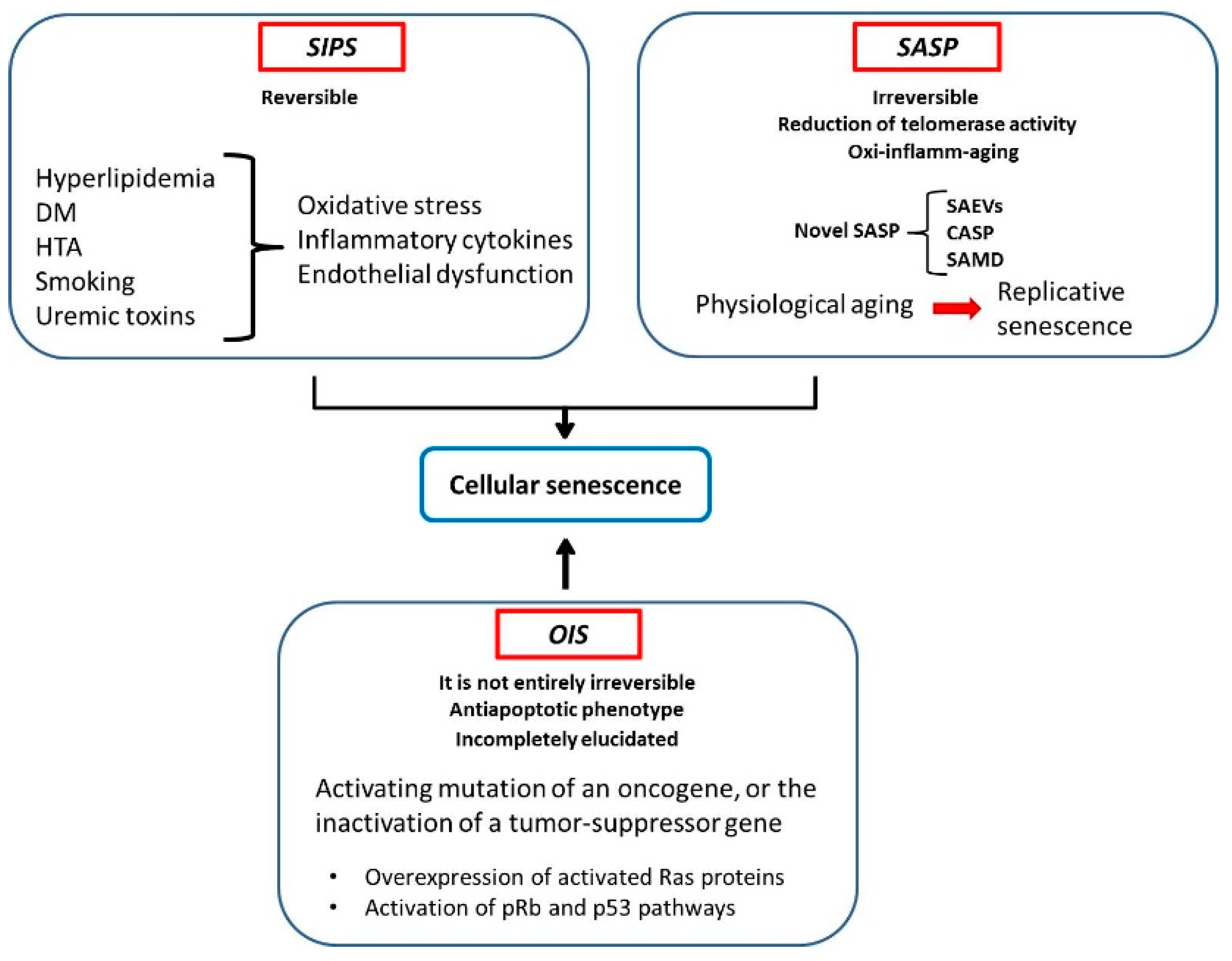 Ijms 19 02003 g001 Ijms 19 02003 g001