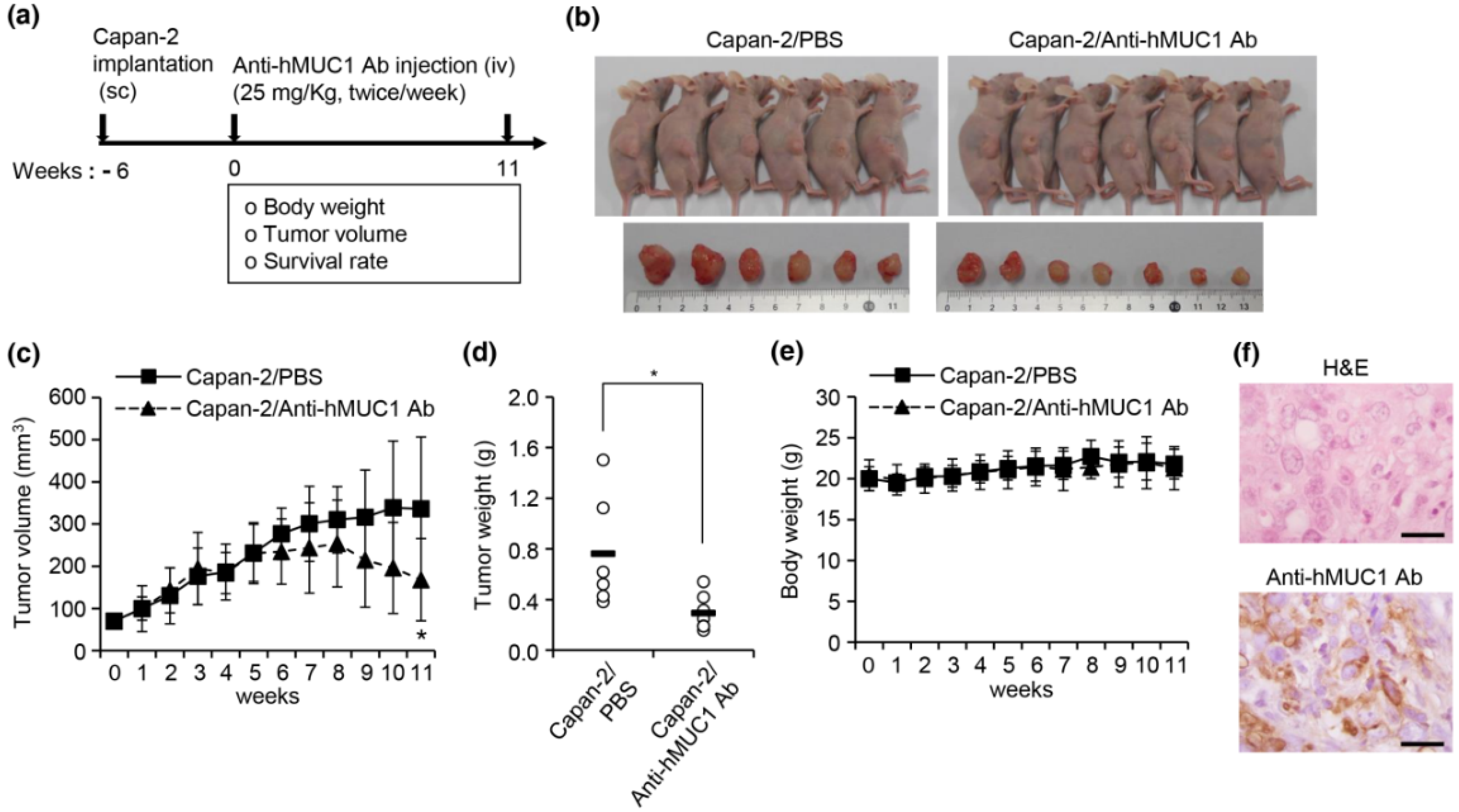 Ijms 19 02004 g005 Ijms 19 02004 g005