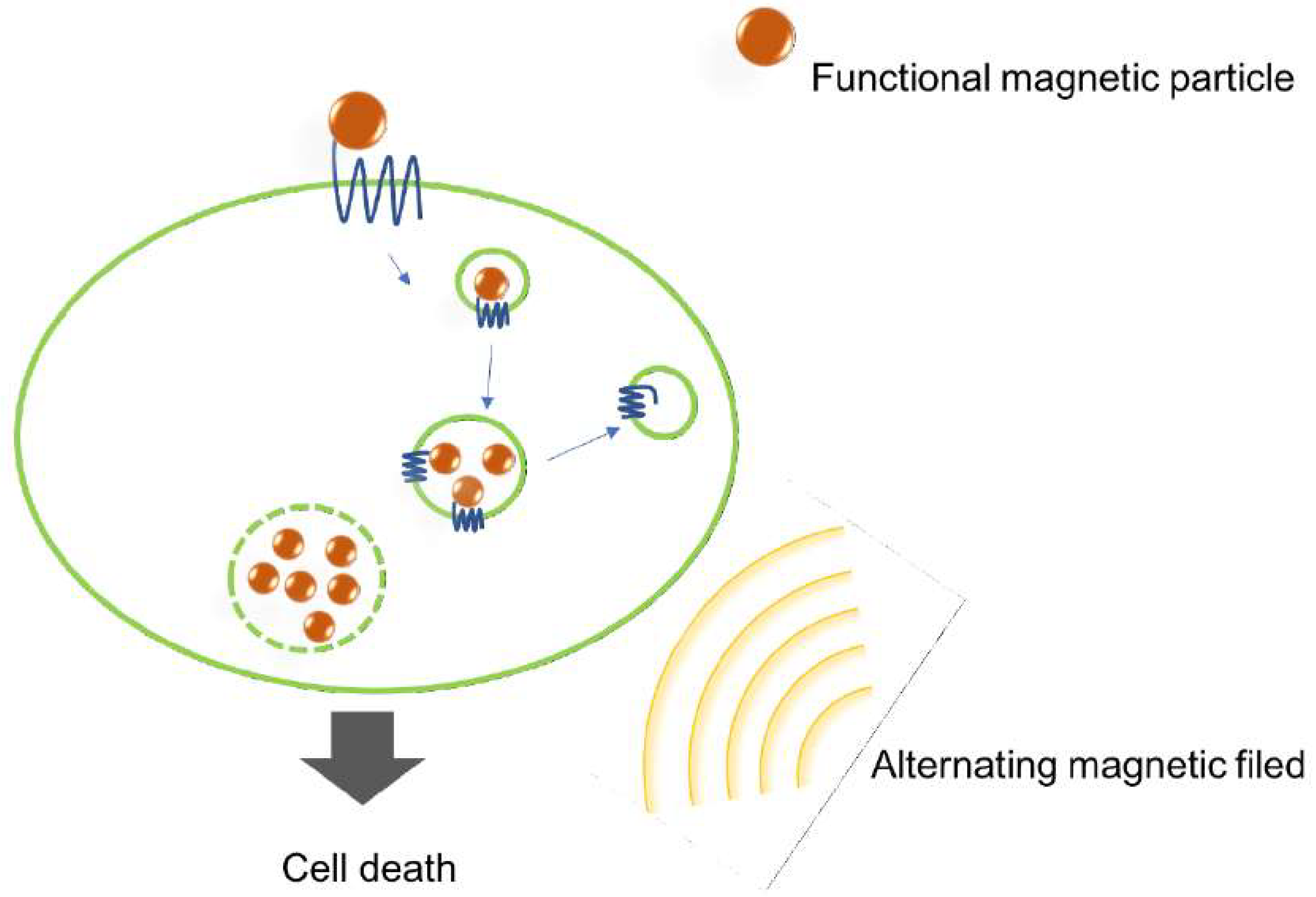 Ijms 19 02006 g002 Ijms 19 02006 g002