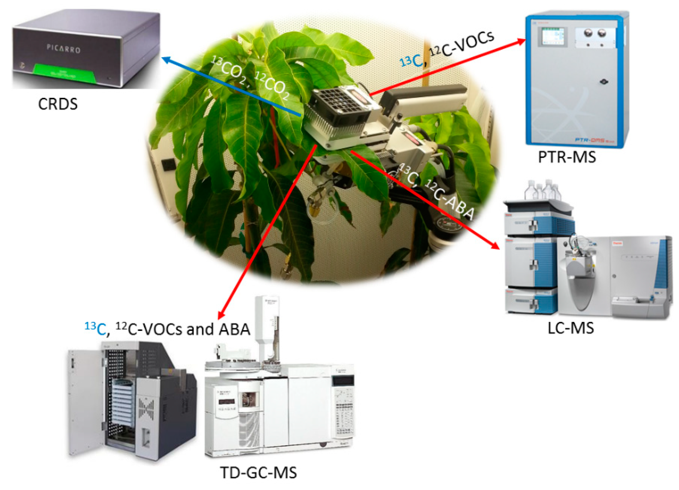 Ijms 19 02023 g006 Ijms 19 02023 g006