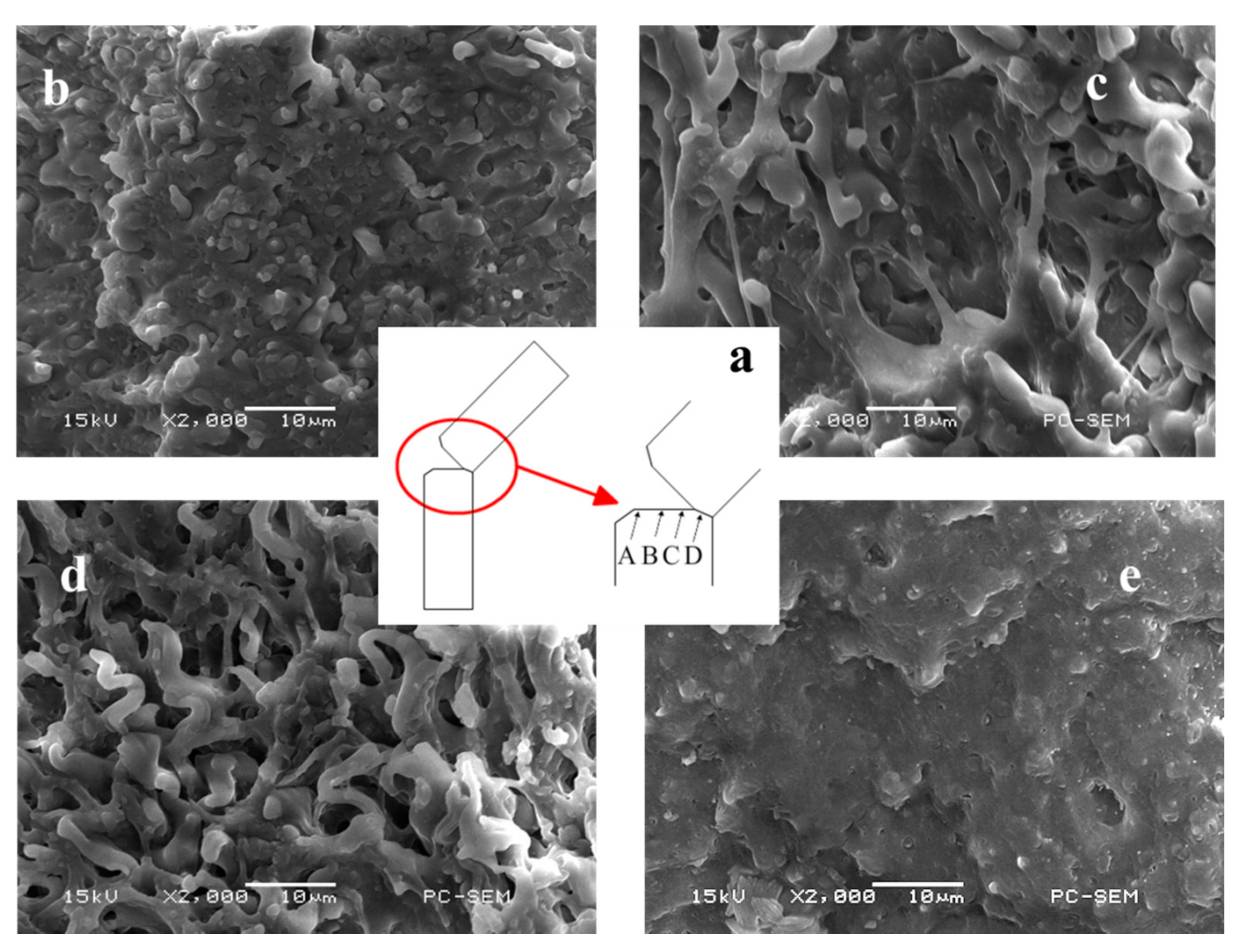 Ijms 19 02032 g008 550