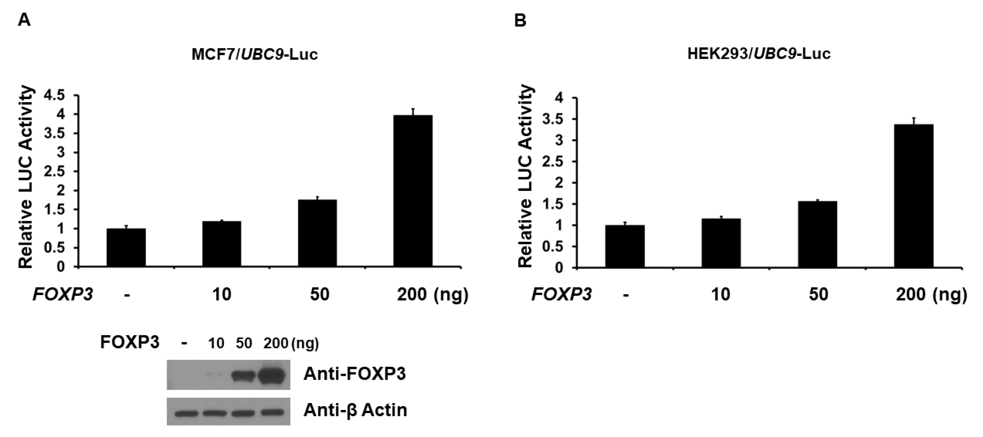 Ijms 19 02036 g002 Ijms 19 02036 g002