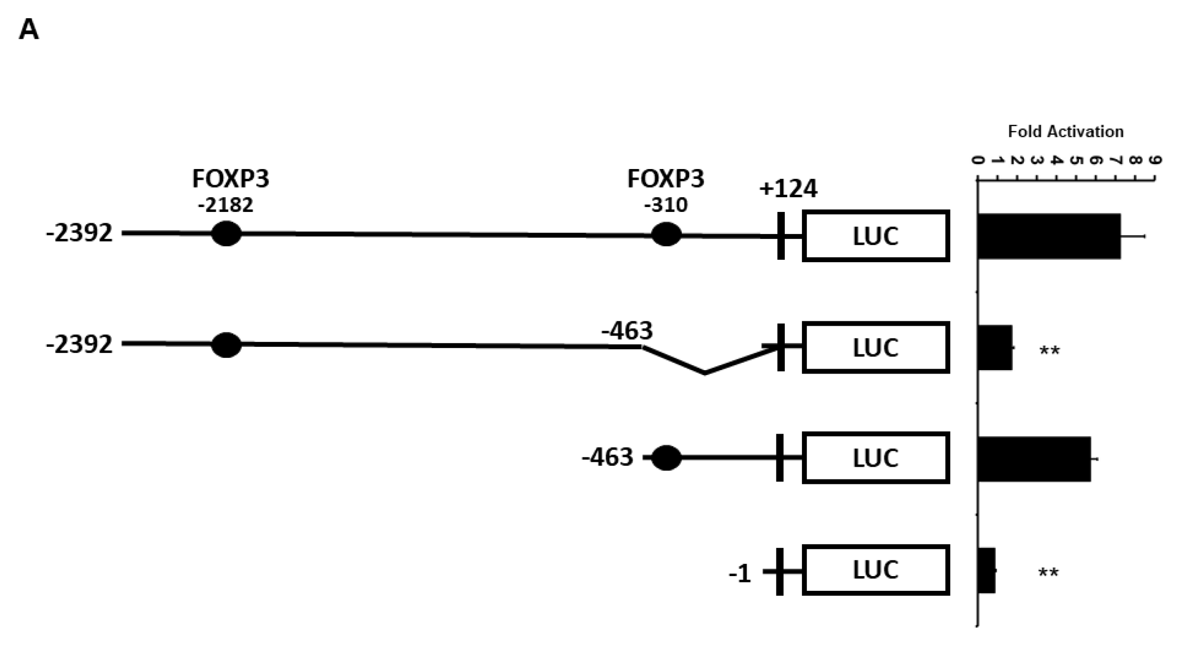 Ijms 19 02036 g004a Ijms 19 02036 g004a