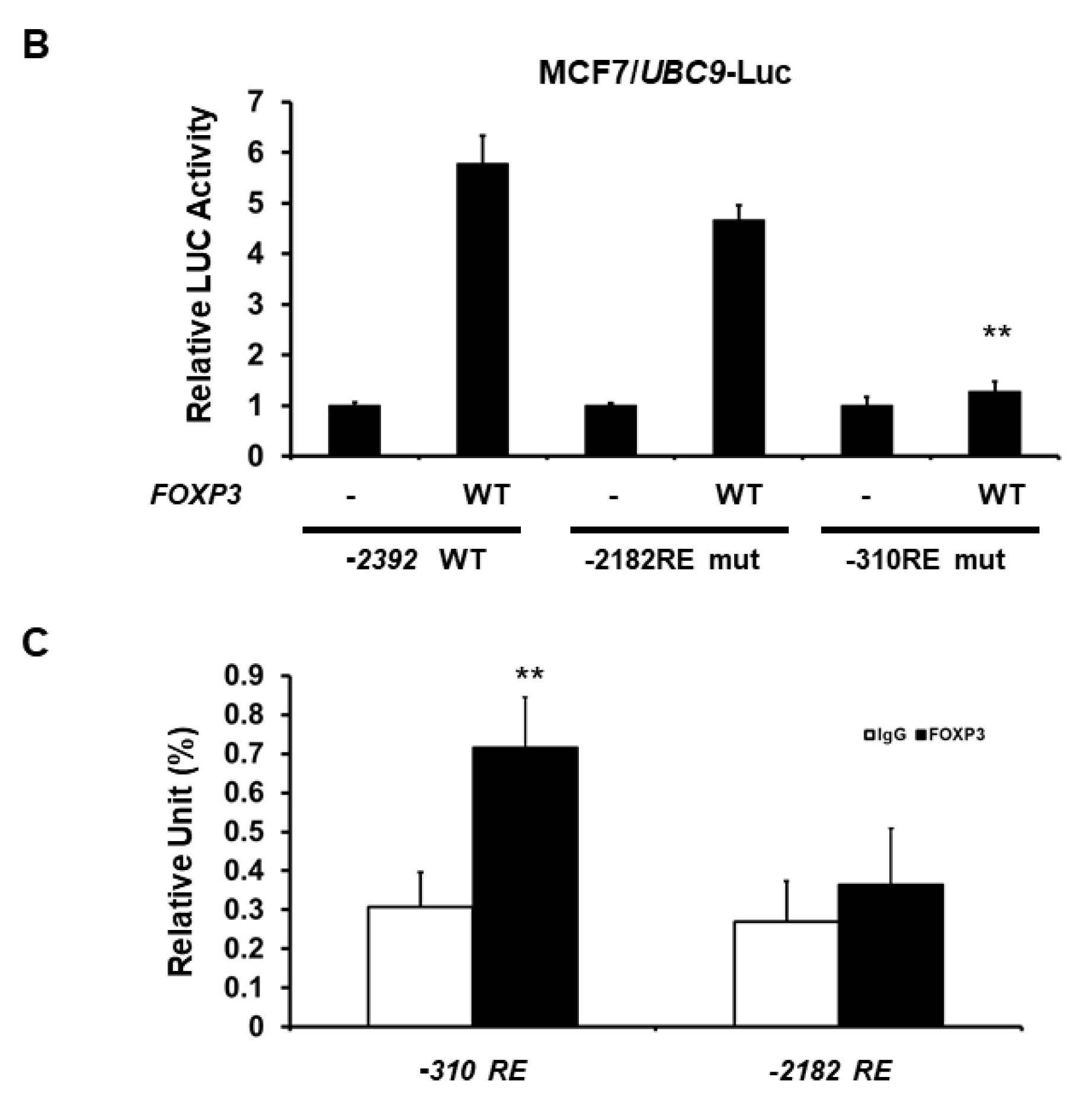FOXP3 Activates SUMO-Conjugating UBC9 Gene in MCF7 Breast