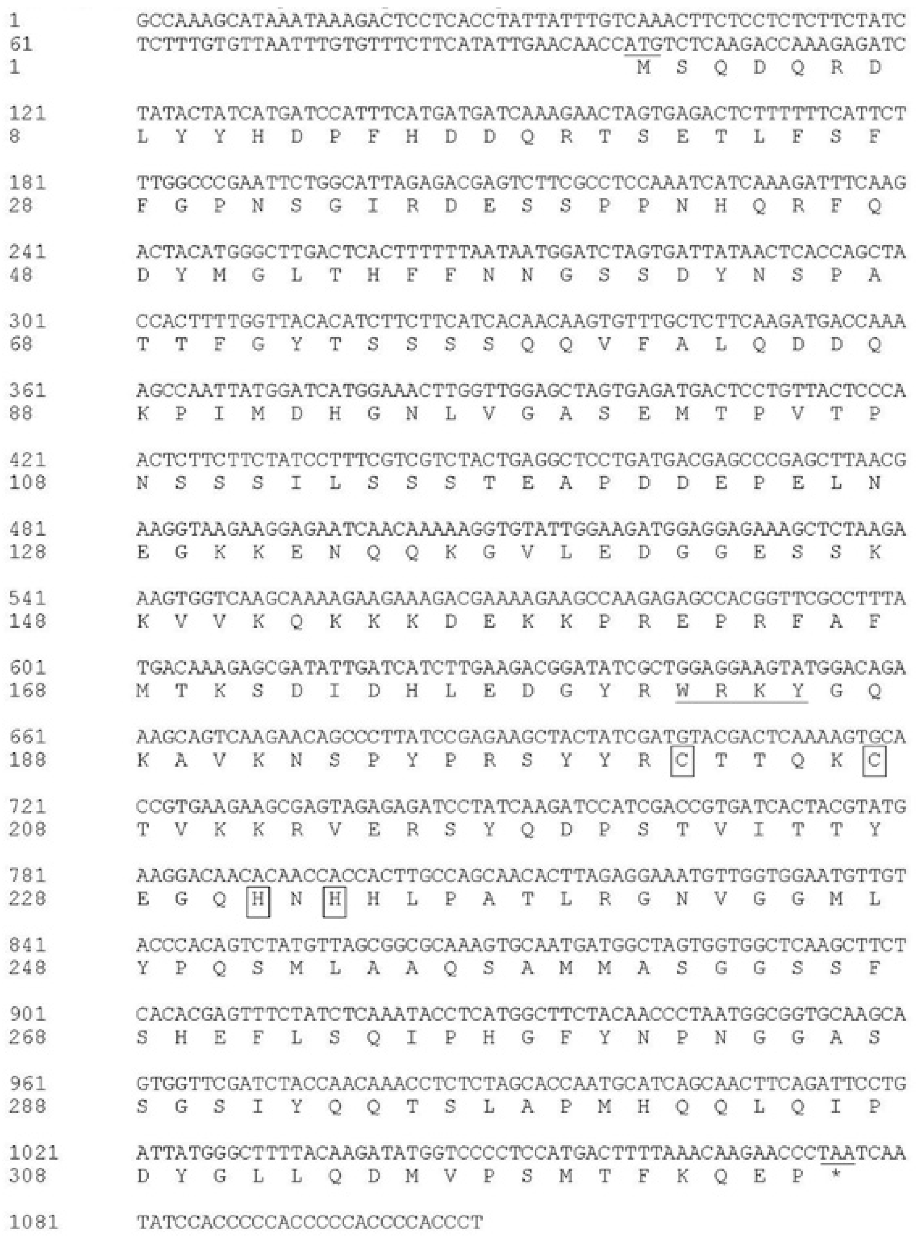 Ijms 19 02062 g001 Ijms 19 02062 g001