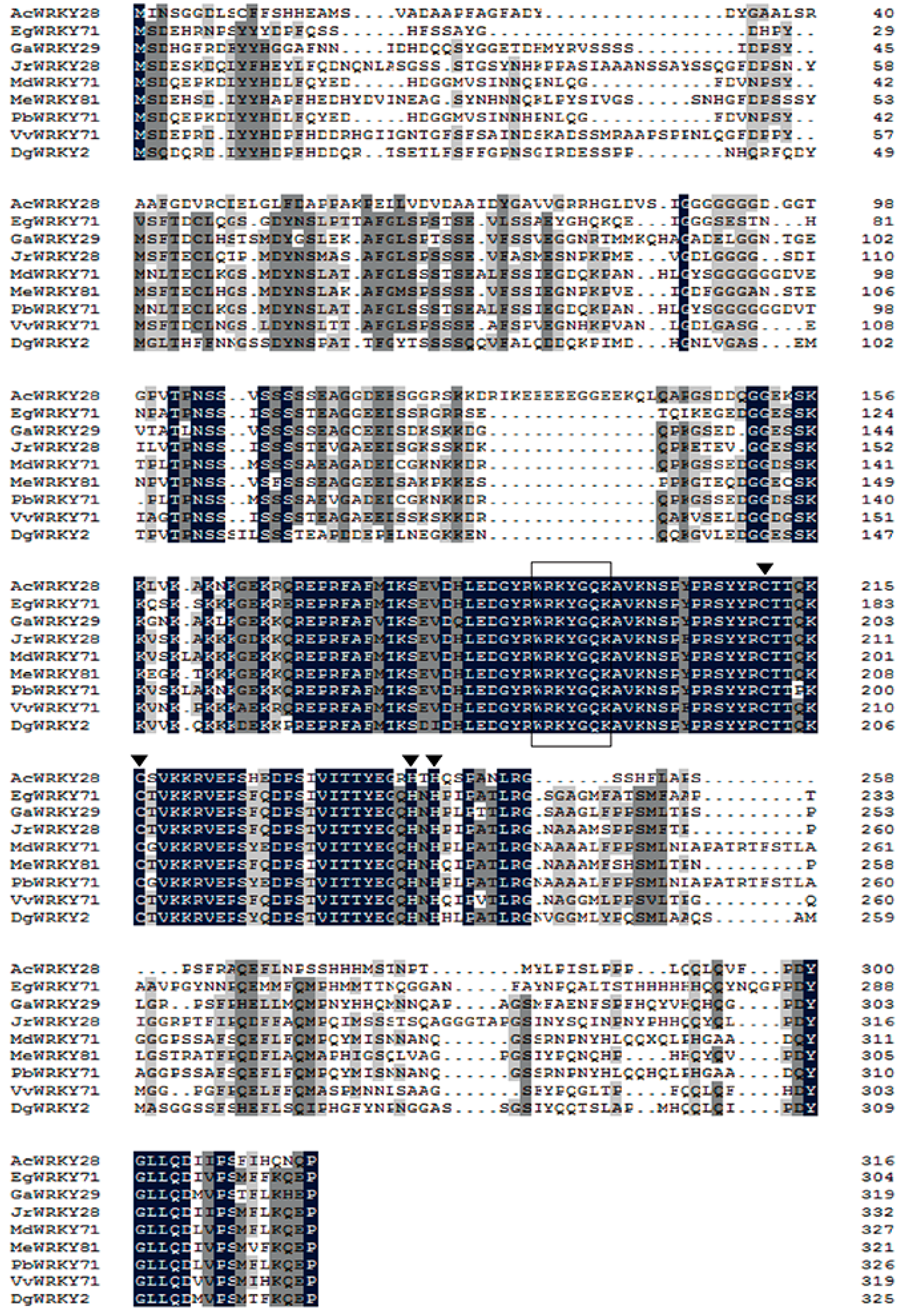 Ijms 19 02062 g002 Ijms 19 02062 g002