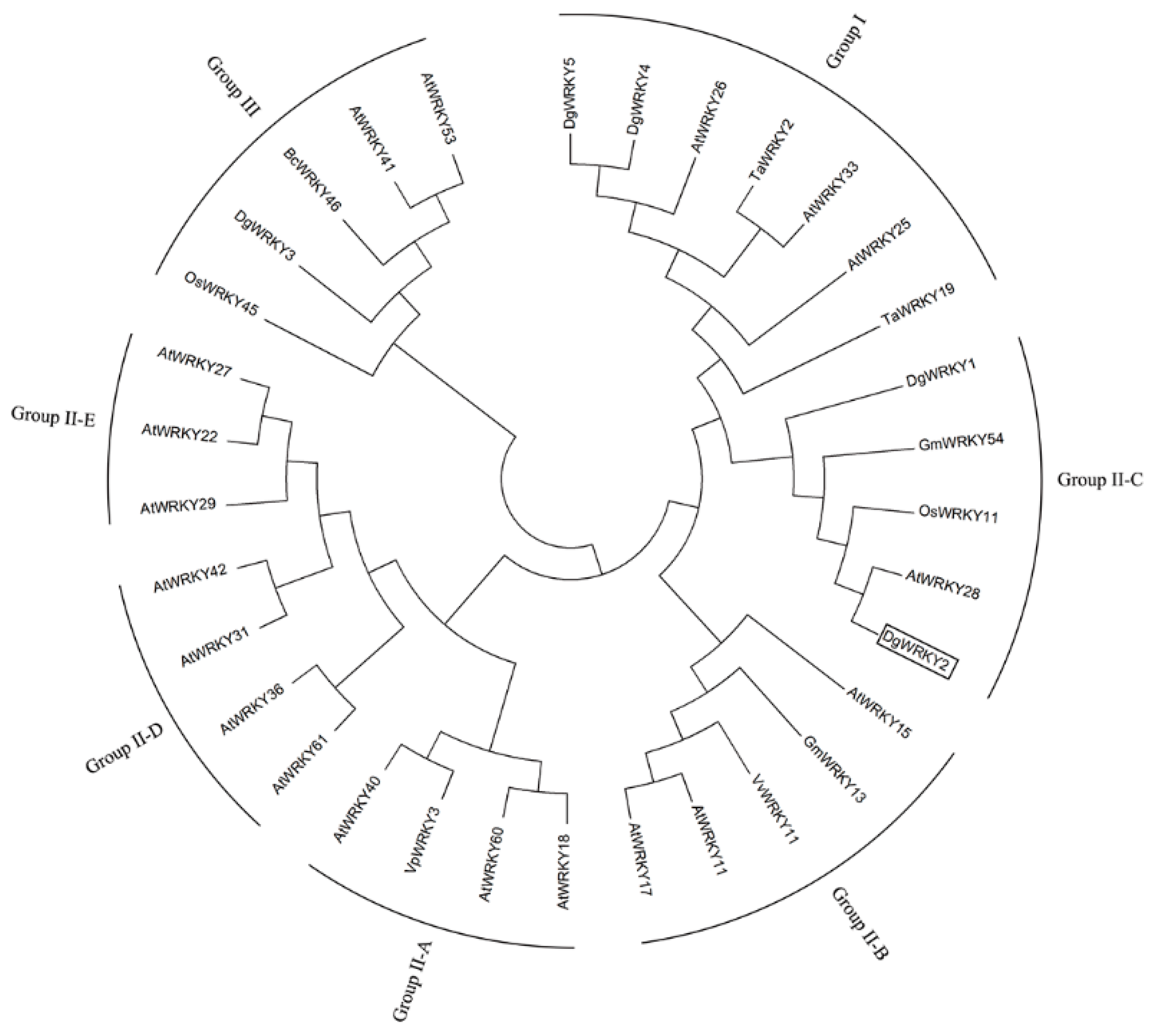 Ijms 19 02062 g003 Ijms 19 02062 g003