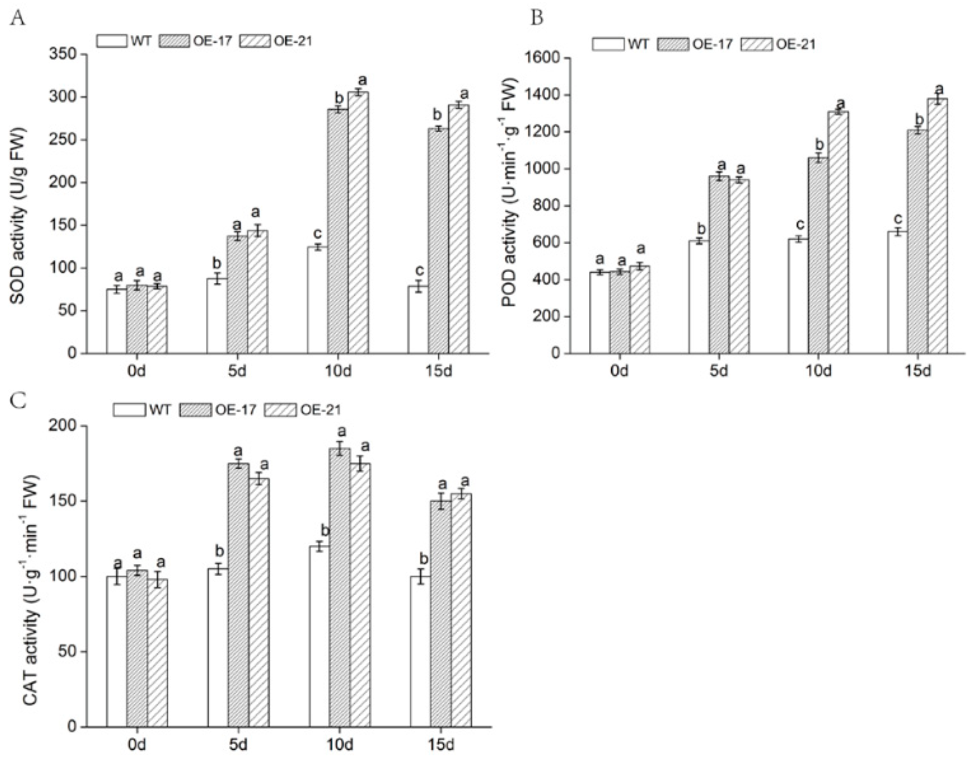 Ijms 19 02062 g006 Ijms 19 02062 g006
