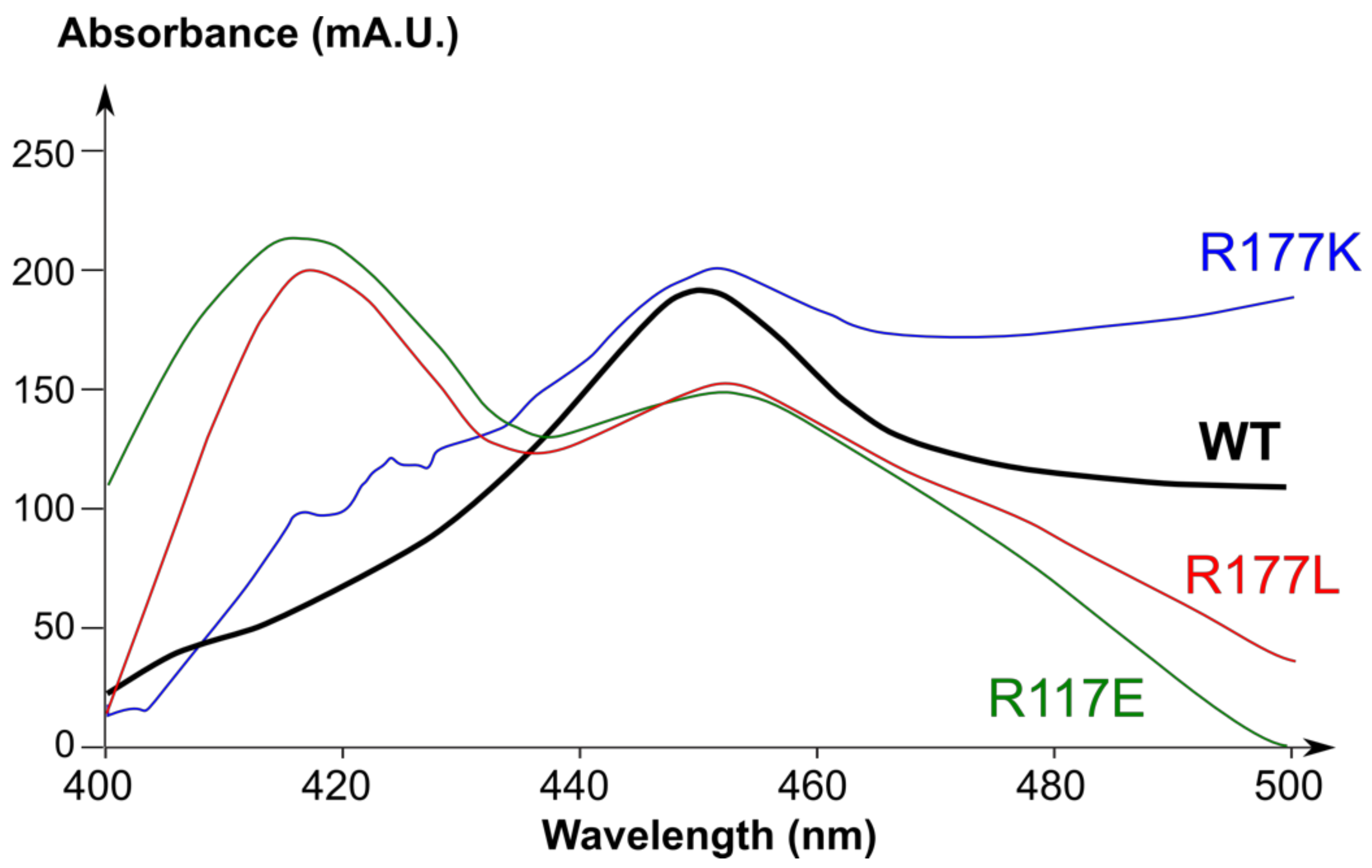 Ijms 19 02066 g002 Ijms 19 02066 g002