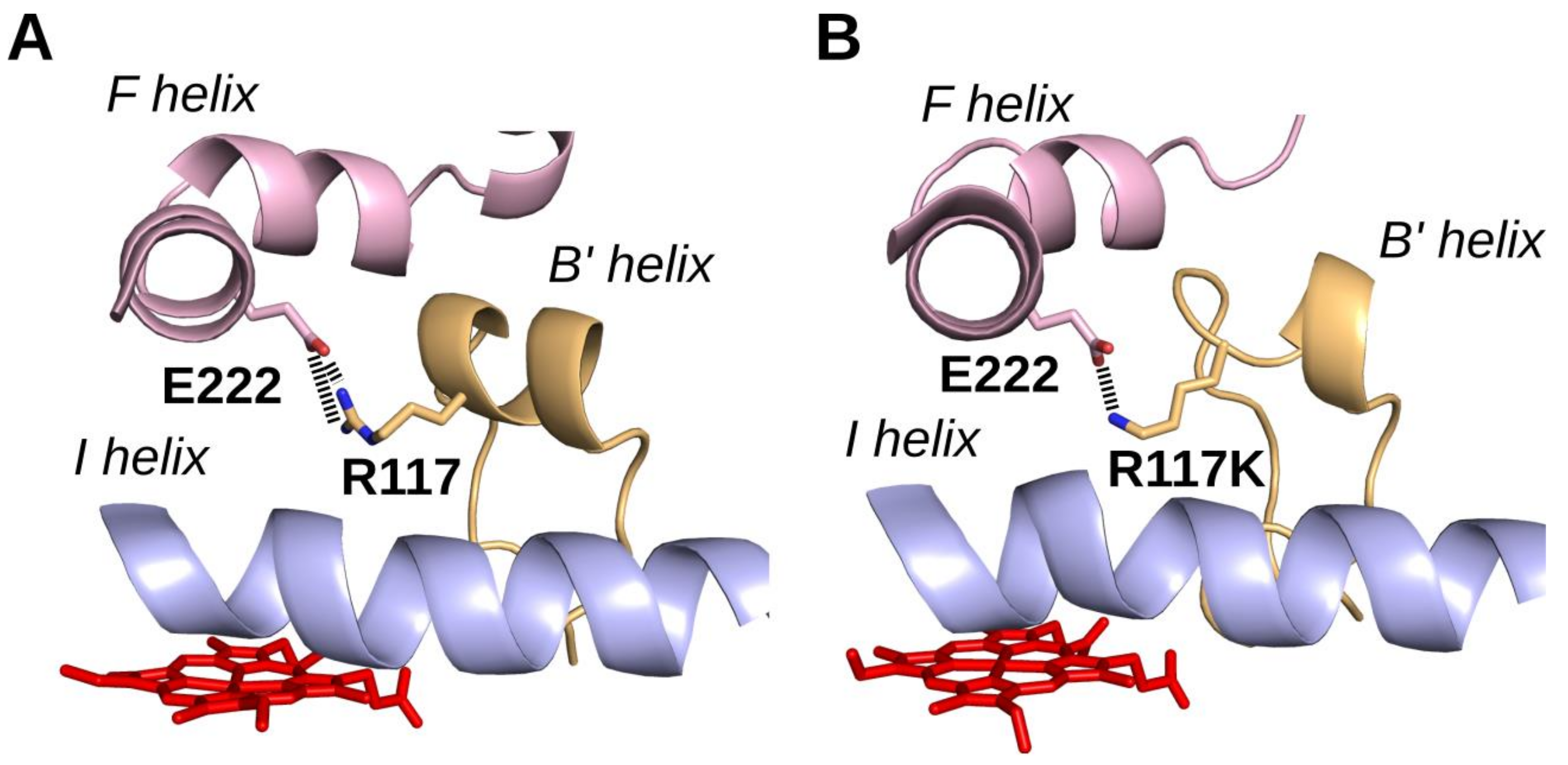 Ijms 19 02066 g003 Ijms 19 02066 g003
