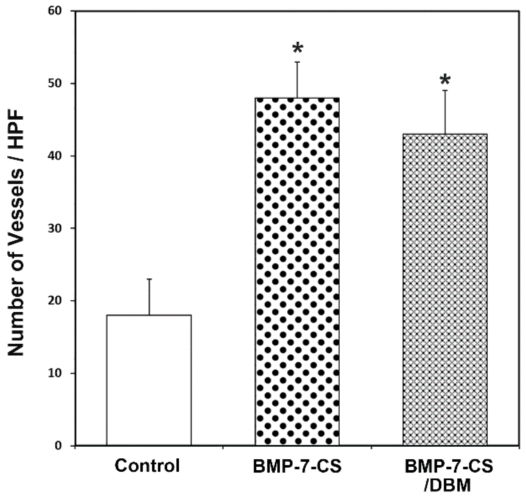 Ijms 19 02073 g006 Ijms 19 02073 g006