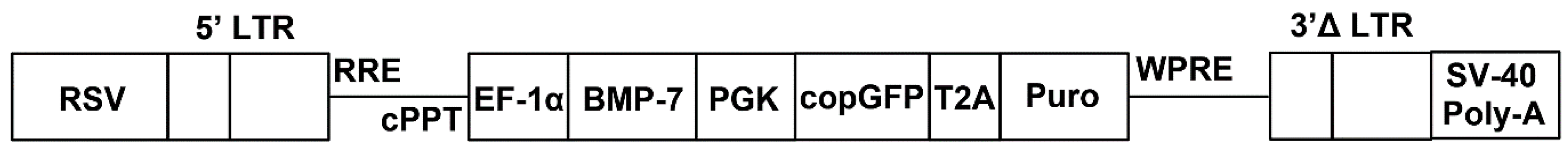 Ijms 19 02073 g008 Ijms 19 02073 g008