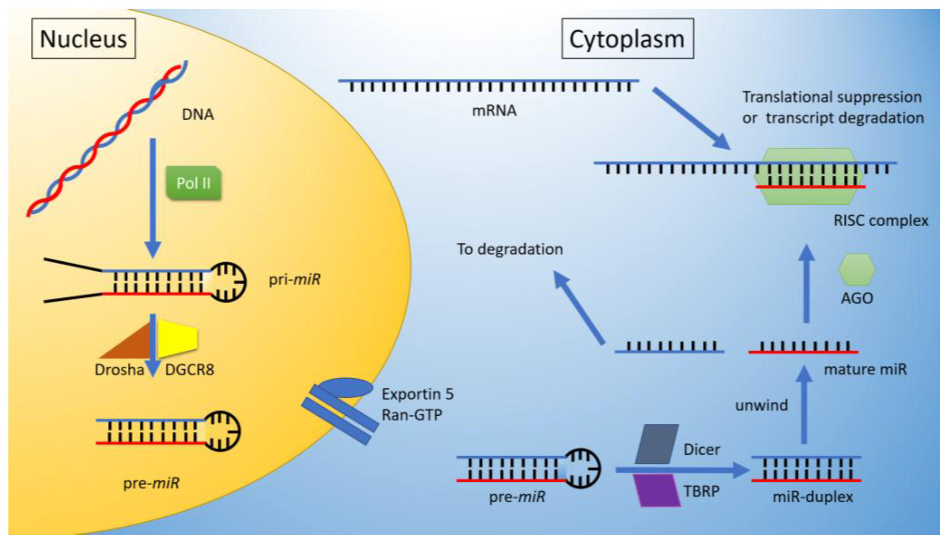 Ijms 19 02075 g001 Ijms 19 02075 g001