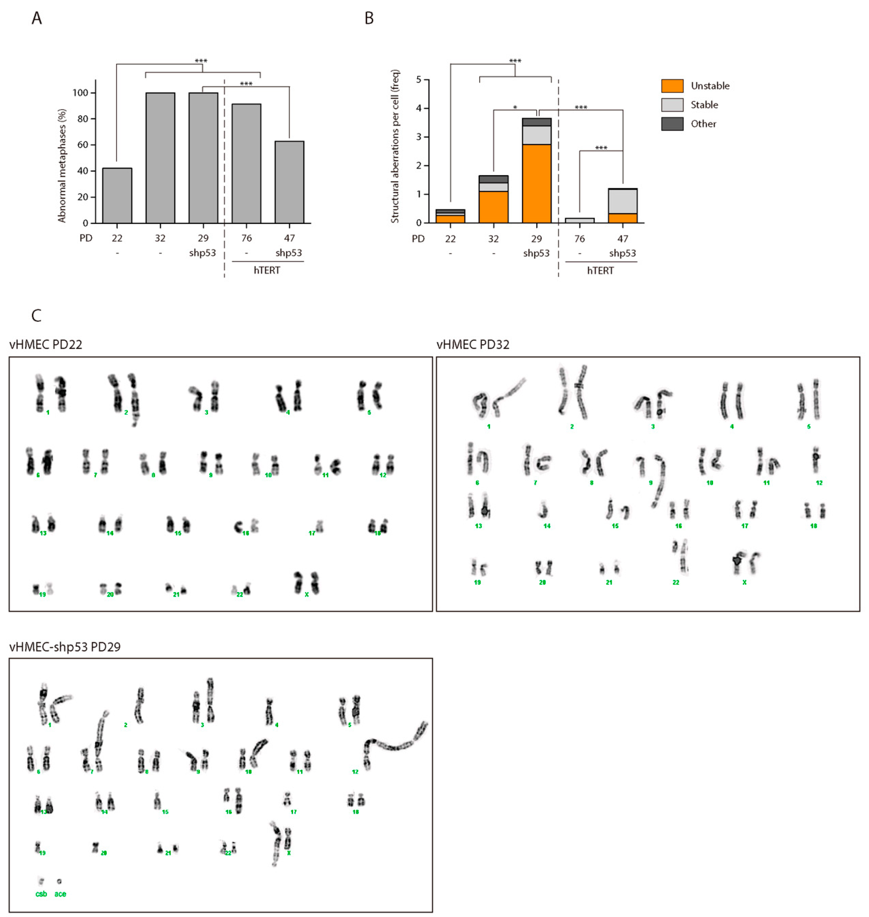 Ijms 19 02078 g003 Ijms 19 02078 g003