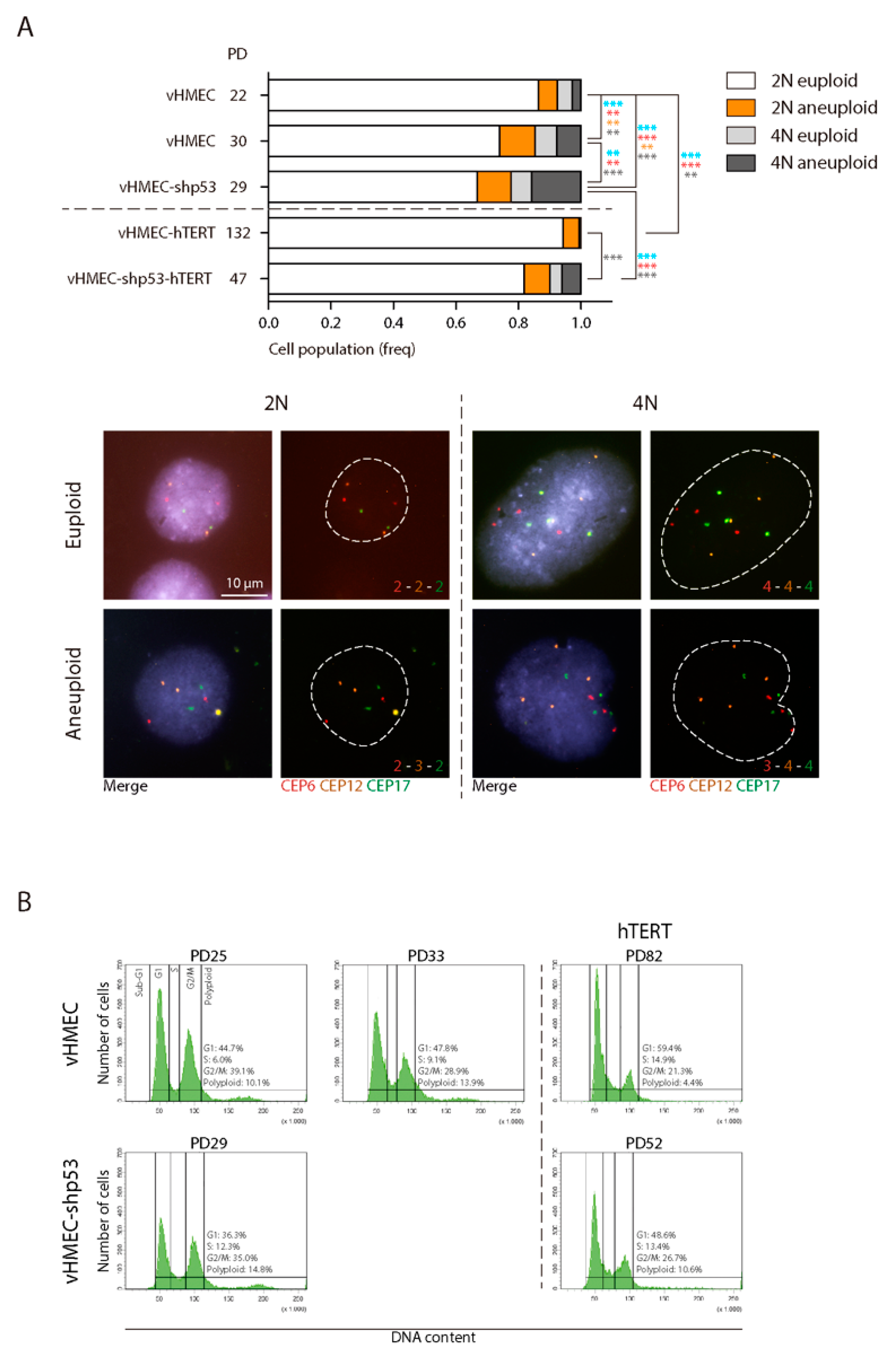 Ijms 19 02078 g004 Ijms 19 02078 g004