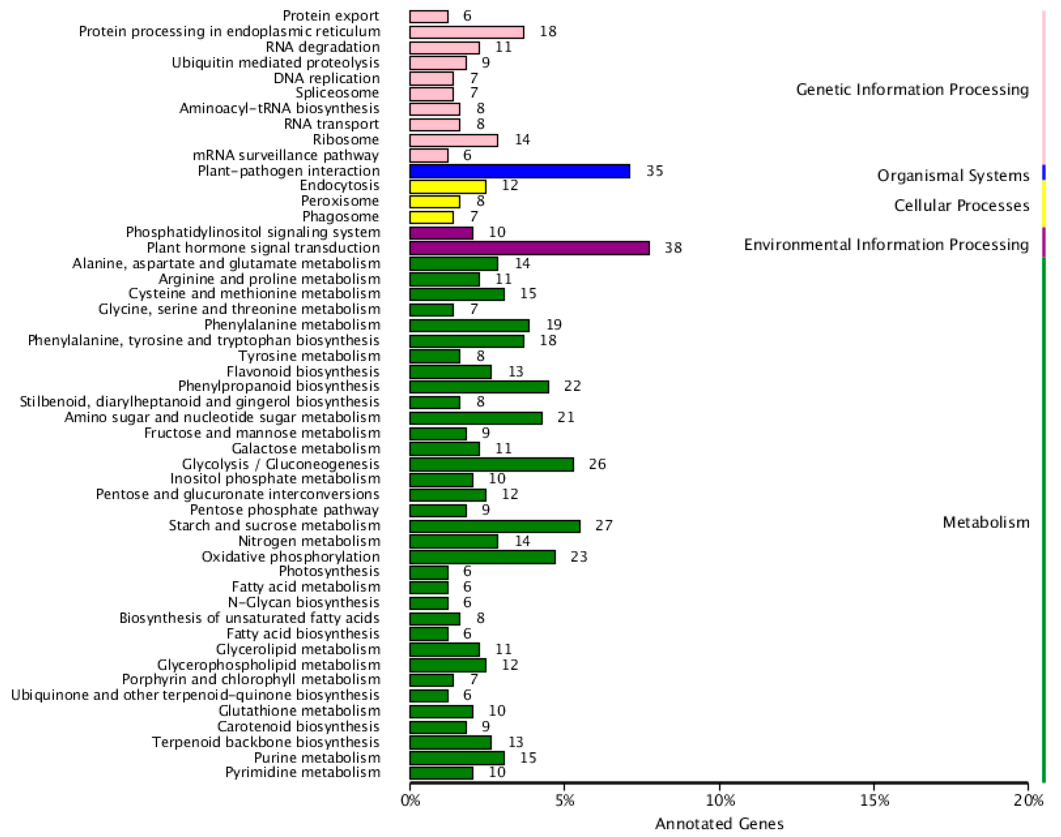 Ijms 19 02088 g004 Ijms 19 02088 g004