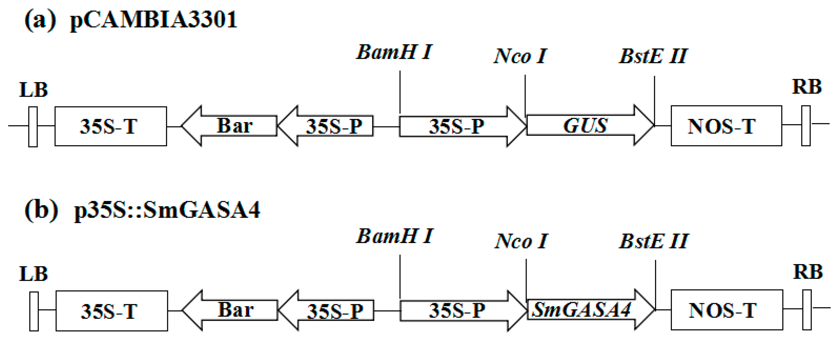 Ijms 19 02088 g005 Ijms 19 02088 g005