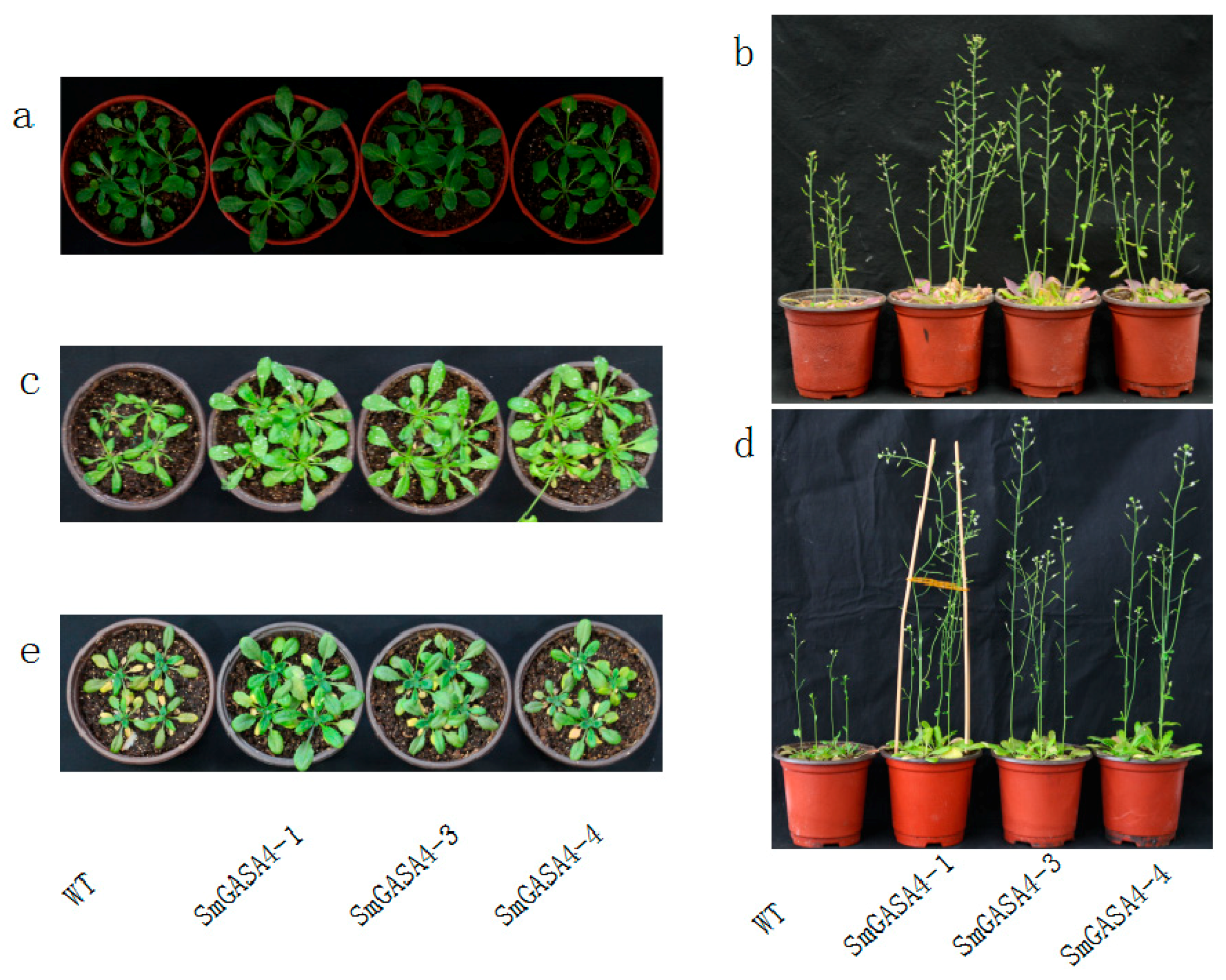 Ijms 19 02088 g008 Ijms 19 02088 g008