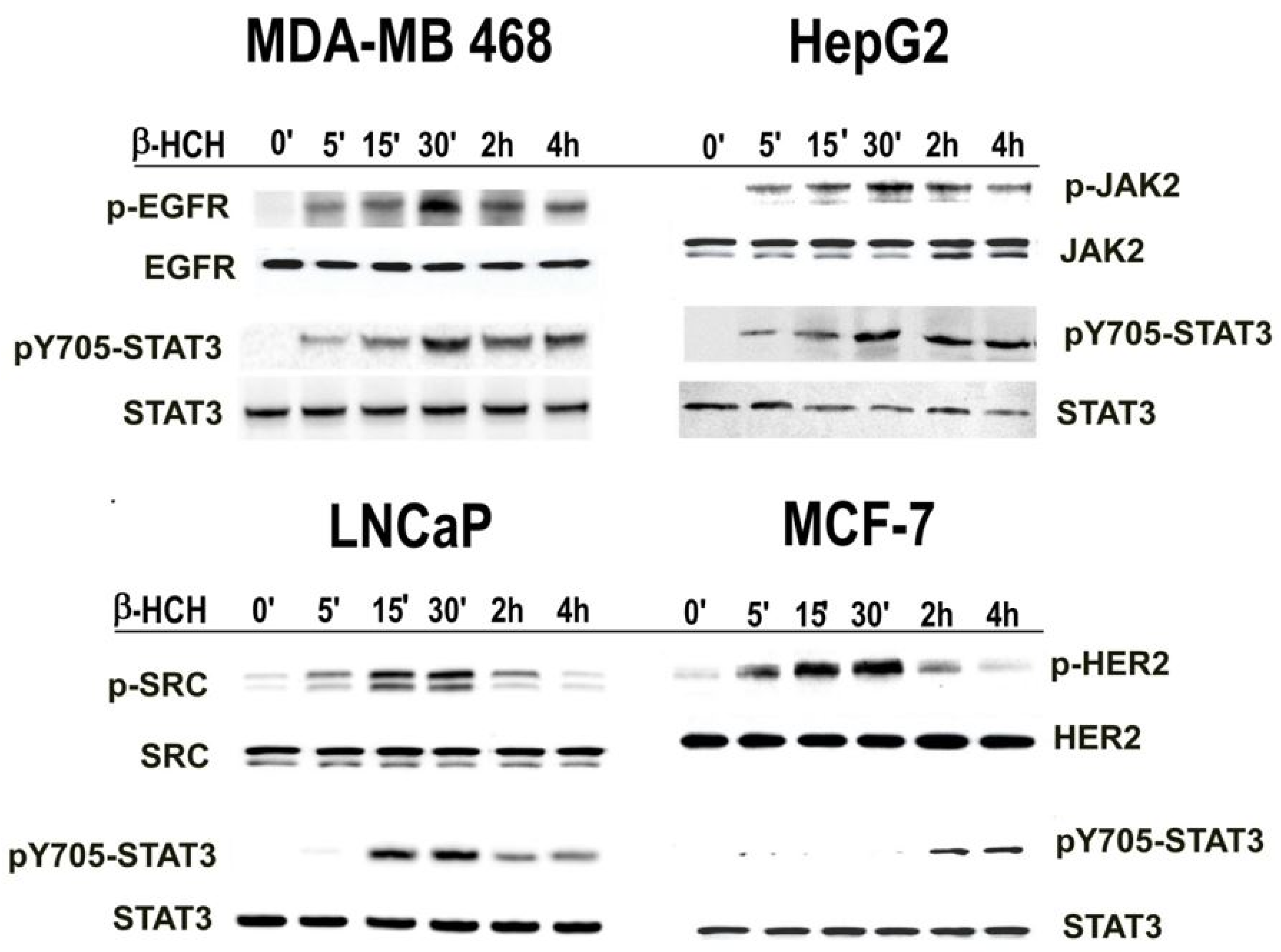 Ijms 19 02108 g001 Ijms 19 02108 g001