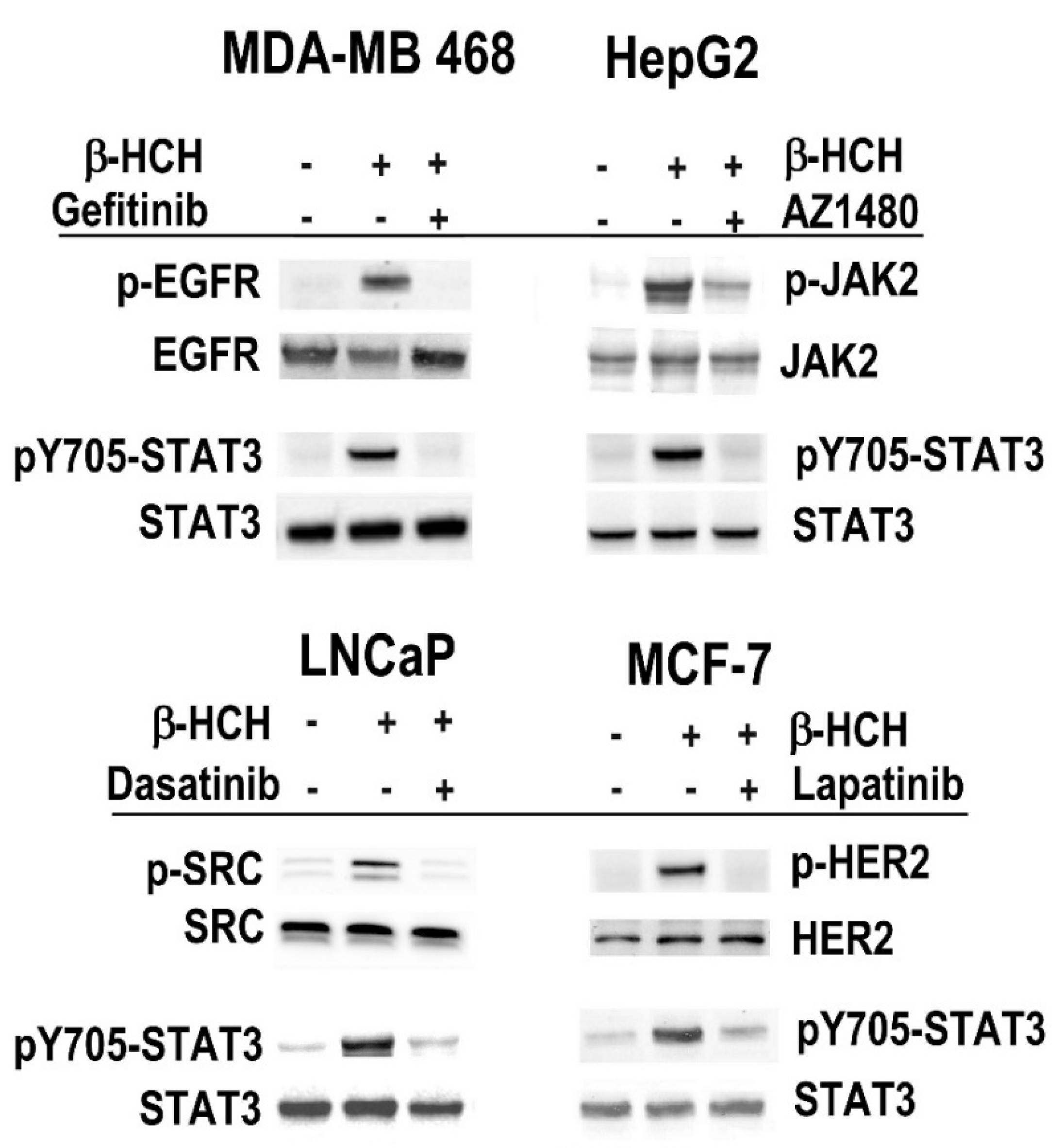 Ijms 19 02108 g002 Ijms 19 02108 g002