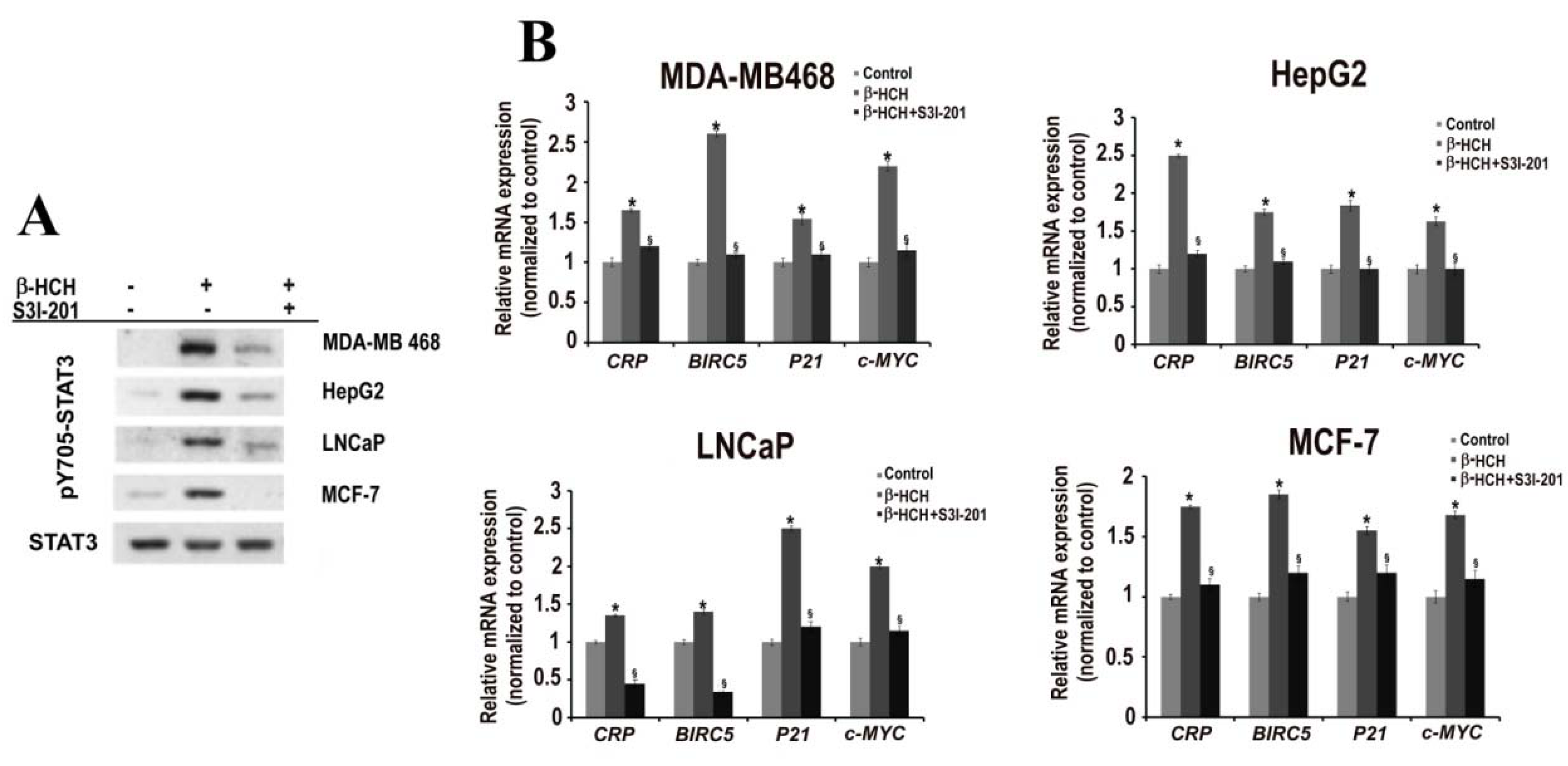 Ijms 19 02108 g003 Ijms 19 02108 g003