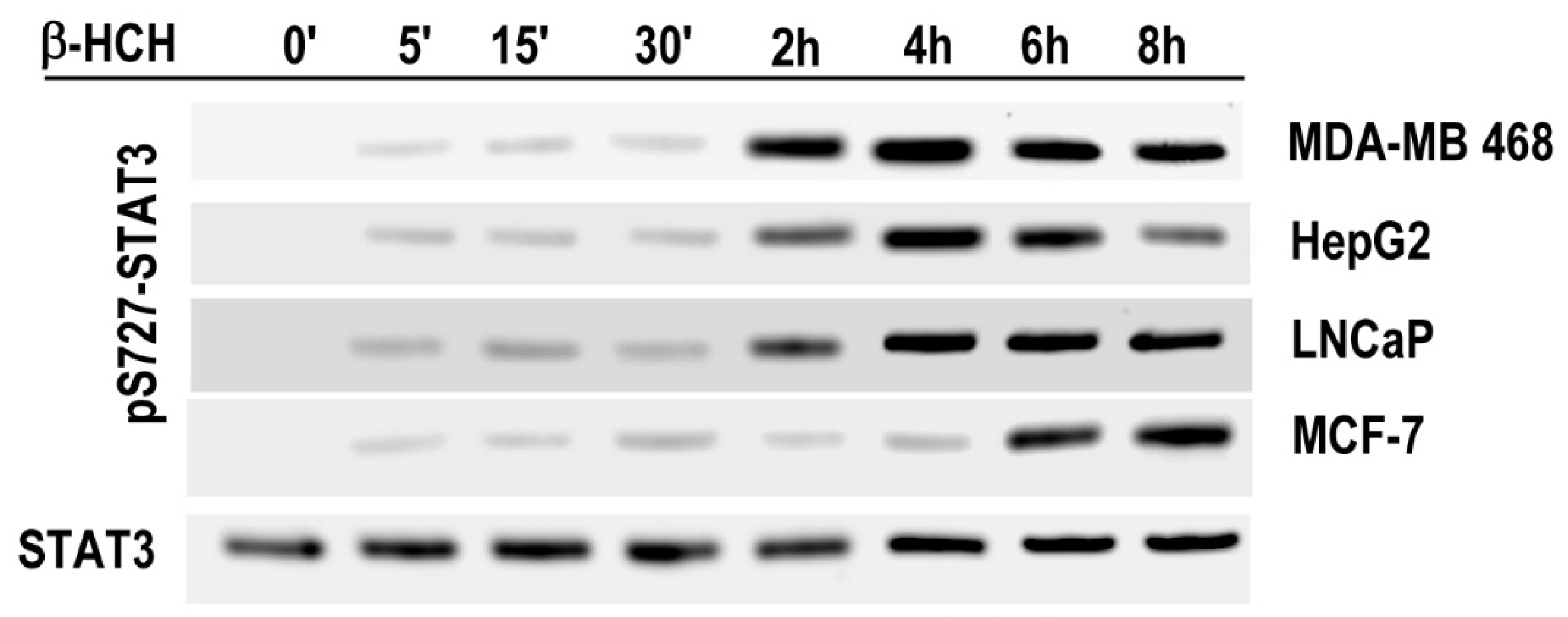 Ijms 19 02108 g004 Ijms 19 02108 g004
