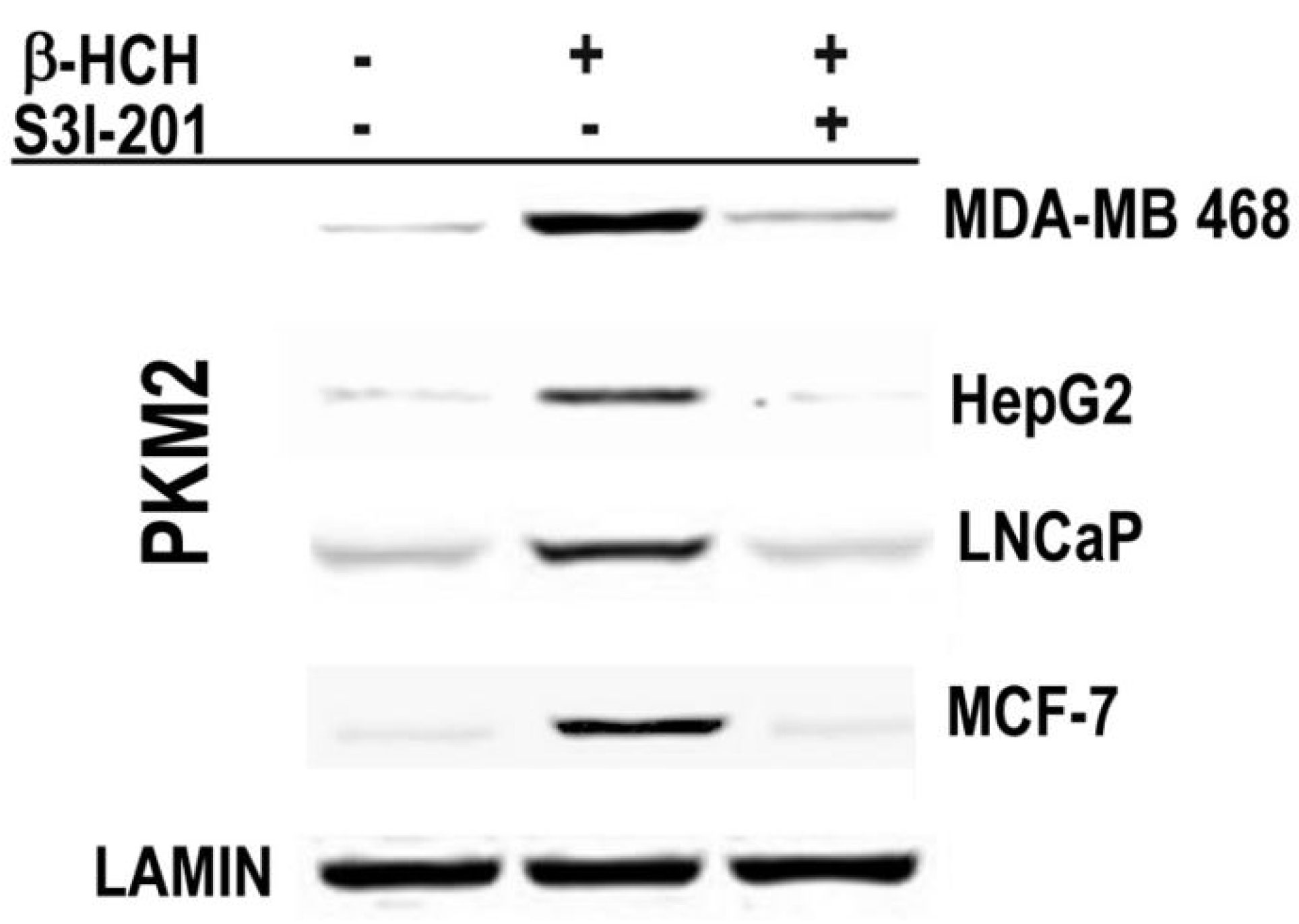 Ijms 19 02108 g005 Ijms 19 02108 g005
