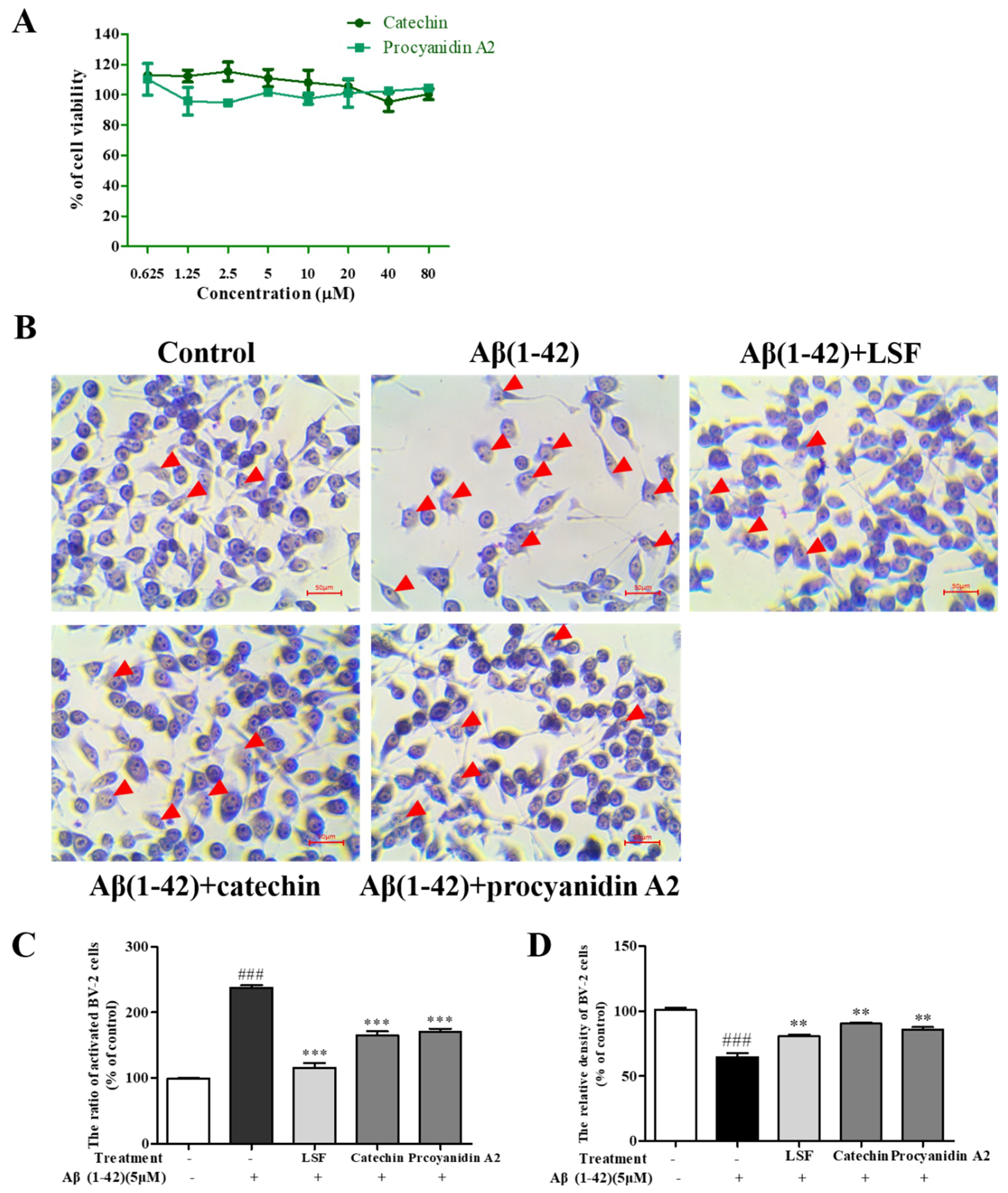 Ijms 19 02109 g002 Ijms 19 02109 g002