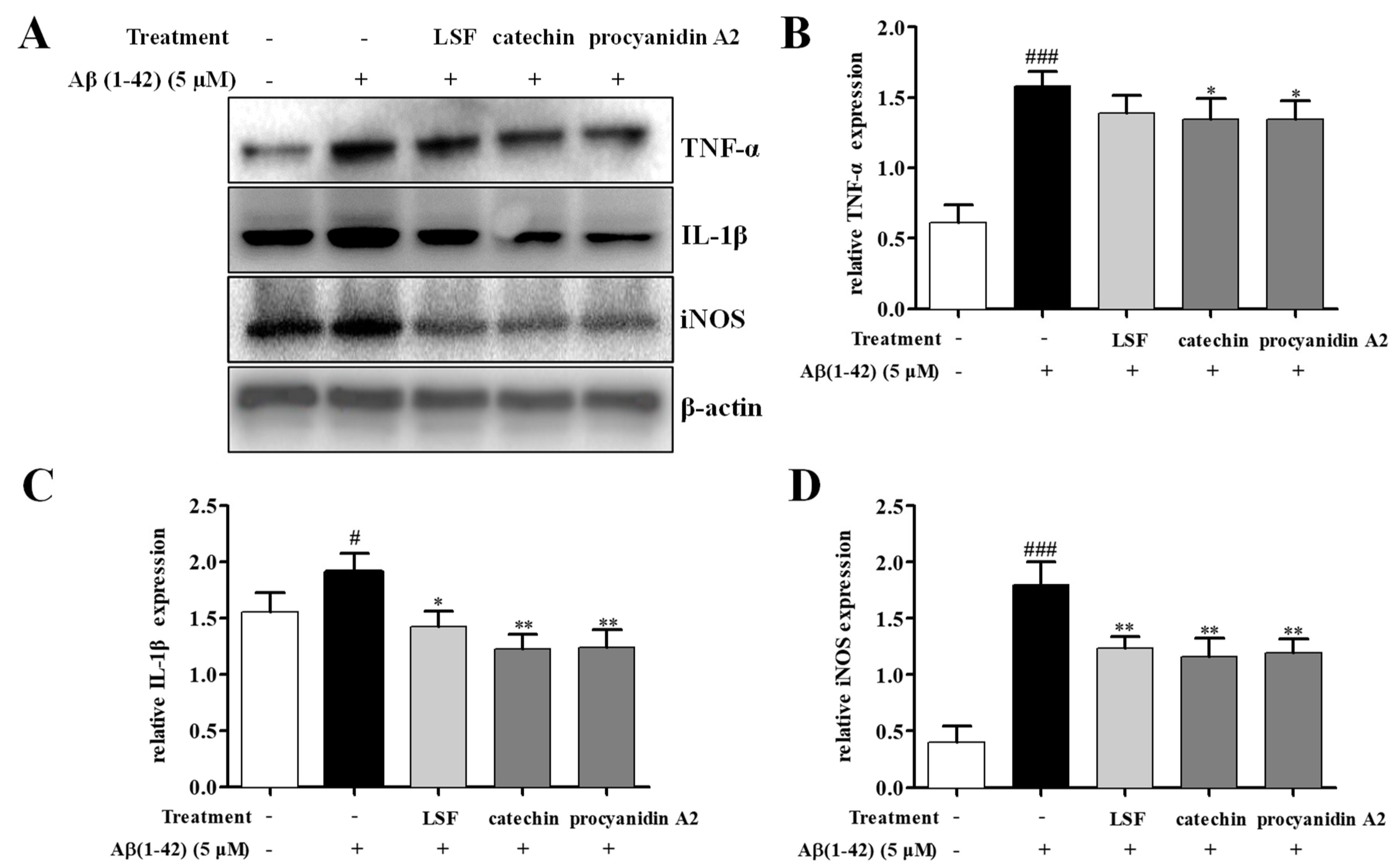 Ijms 19 02109 g005 Ijms 19 02109 g005
