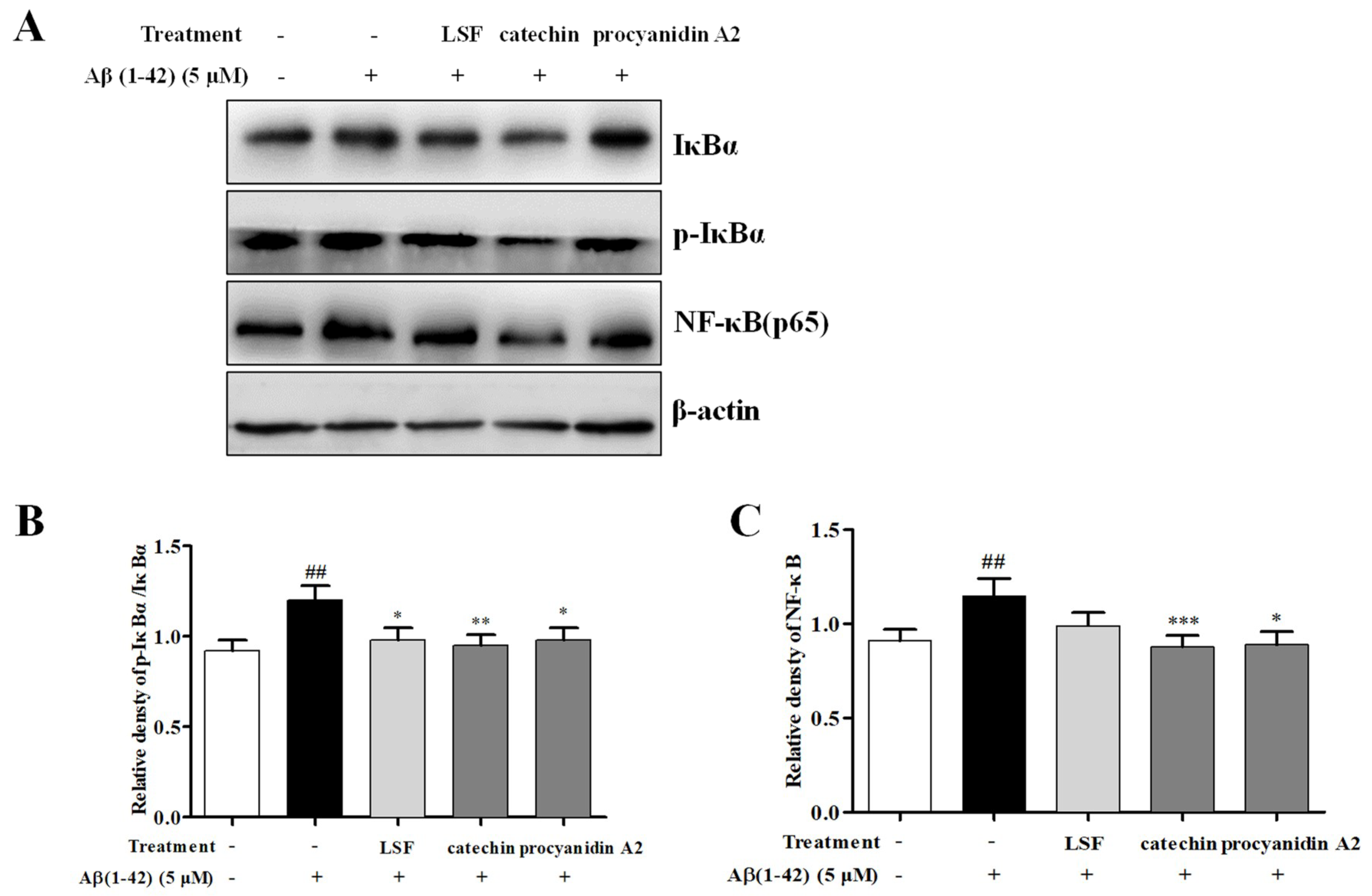 Ijms 19 02109 g006 Ijms 19 02109 g006