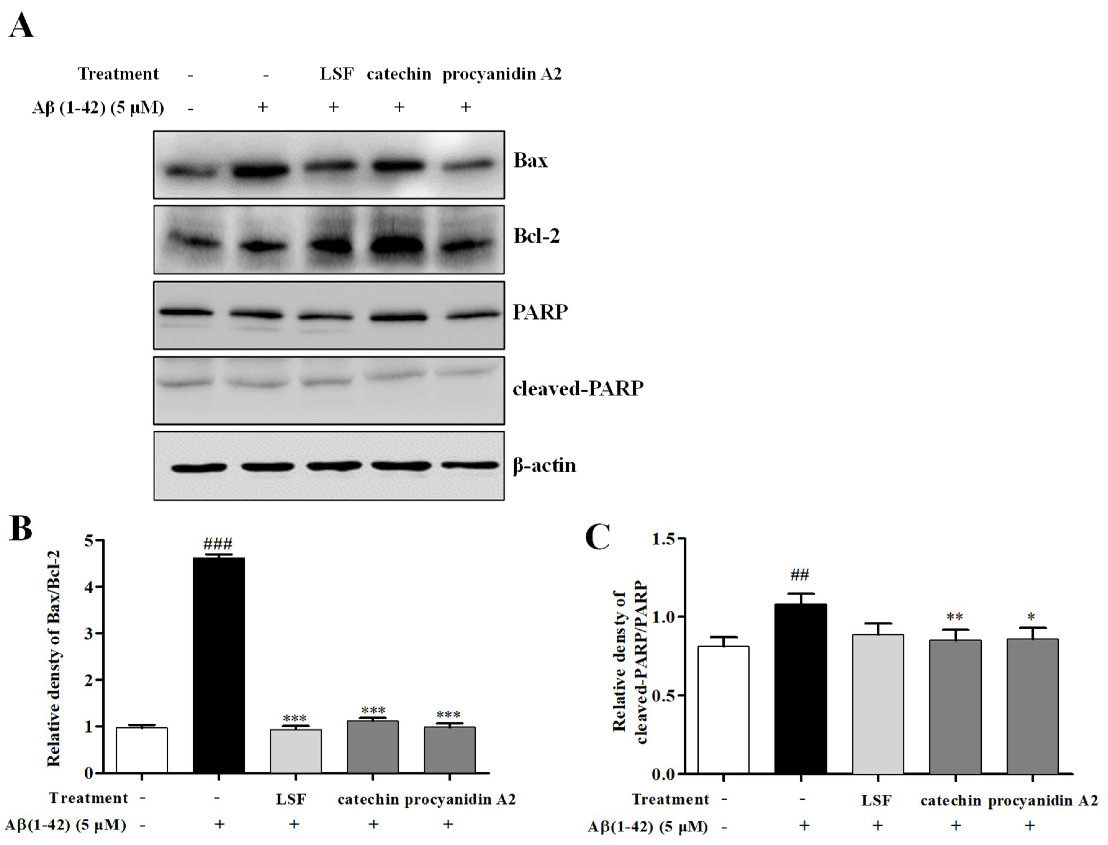Ijms 19 02109 g007 Ijms 19 02109 g007