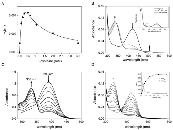 Functional Characterization and Structure-Guided Mutational