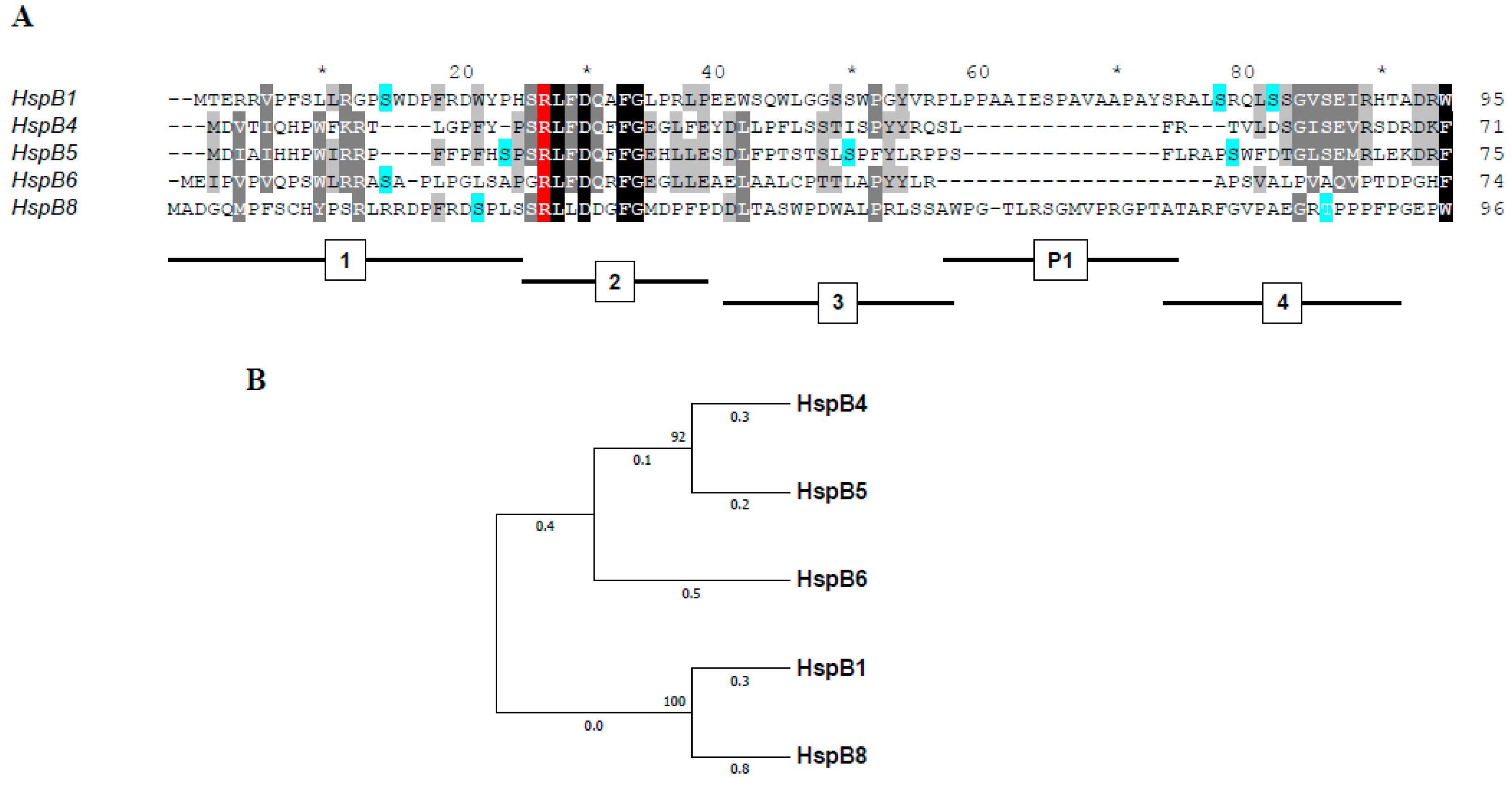 Ijms 19 02112 g001 Ijms 19 02112 g001