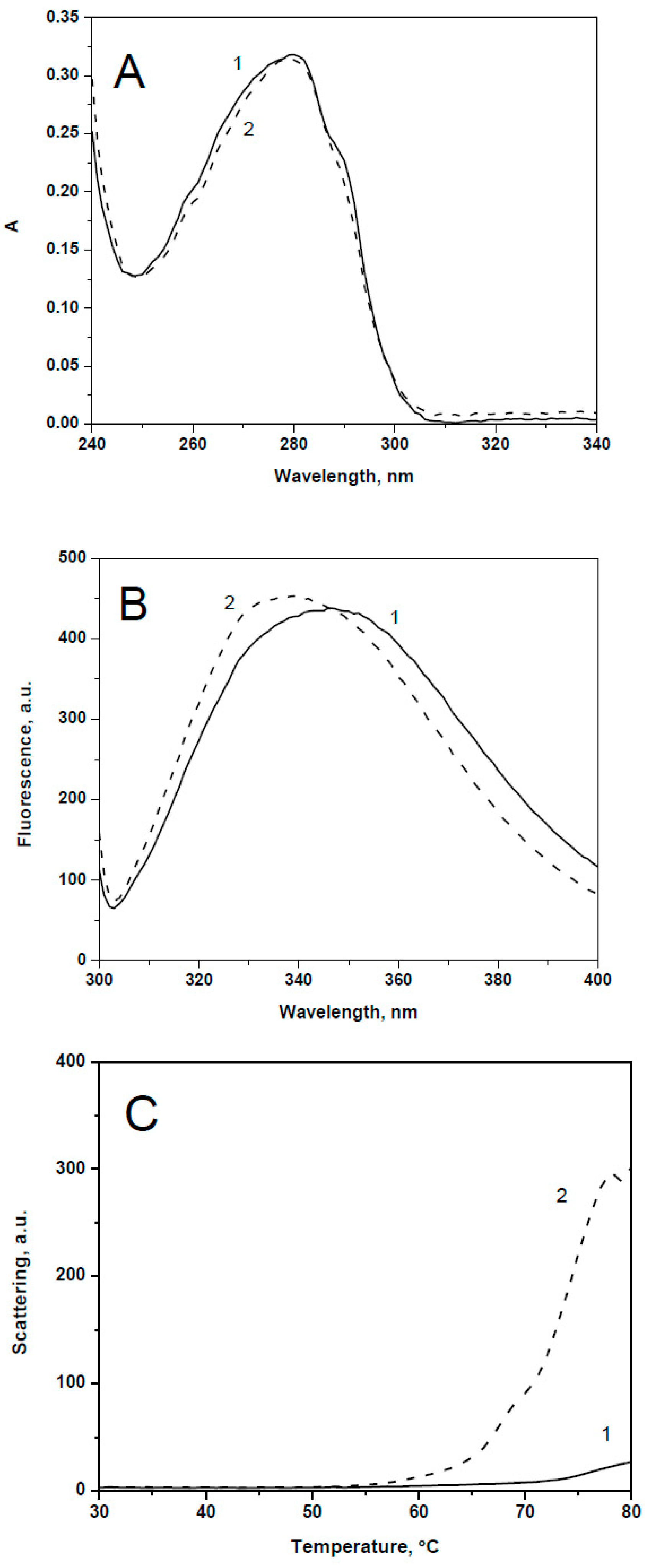 Ijms 19 02112 g004 Ijms 19 02112 g004