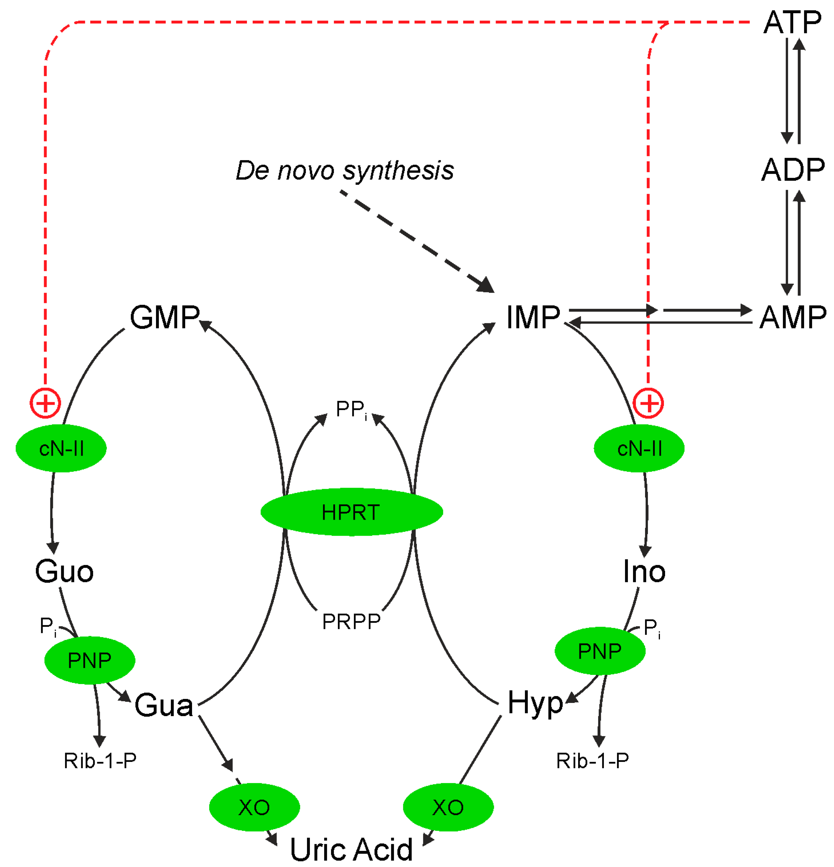 Ijms 19 02115 sch001
