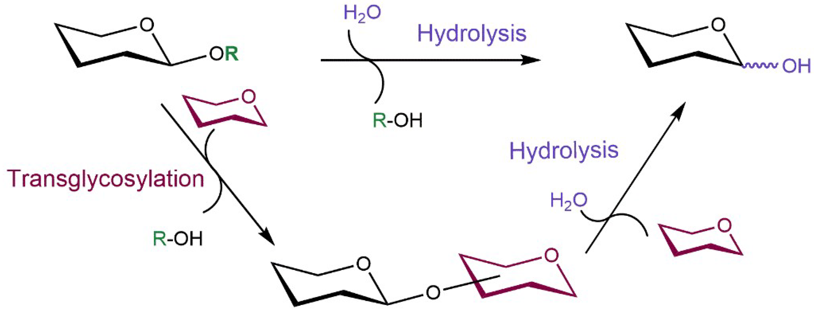Ijms 19 02126 sch002