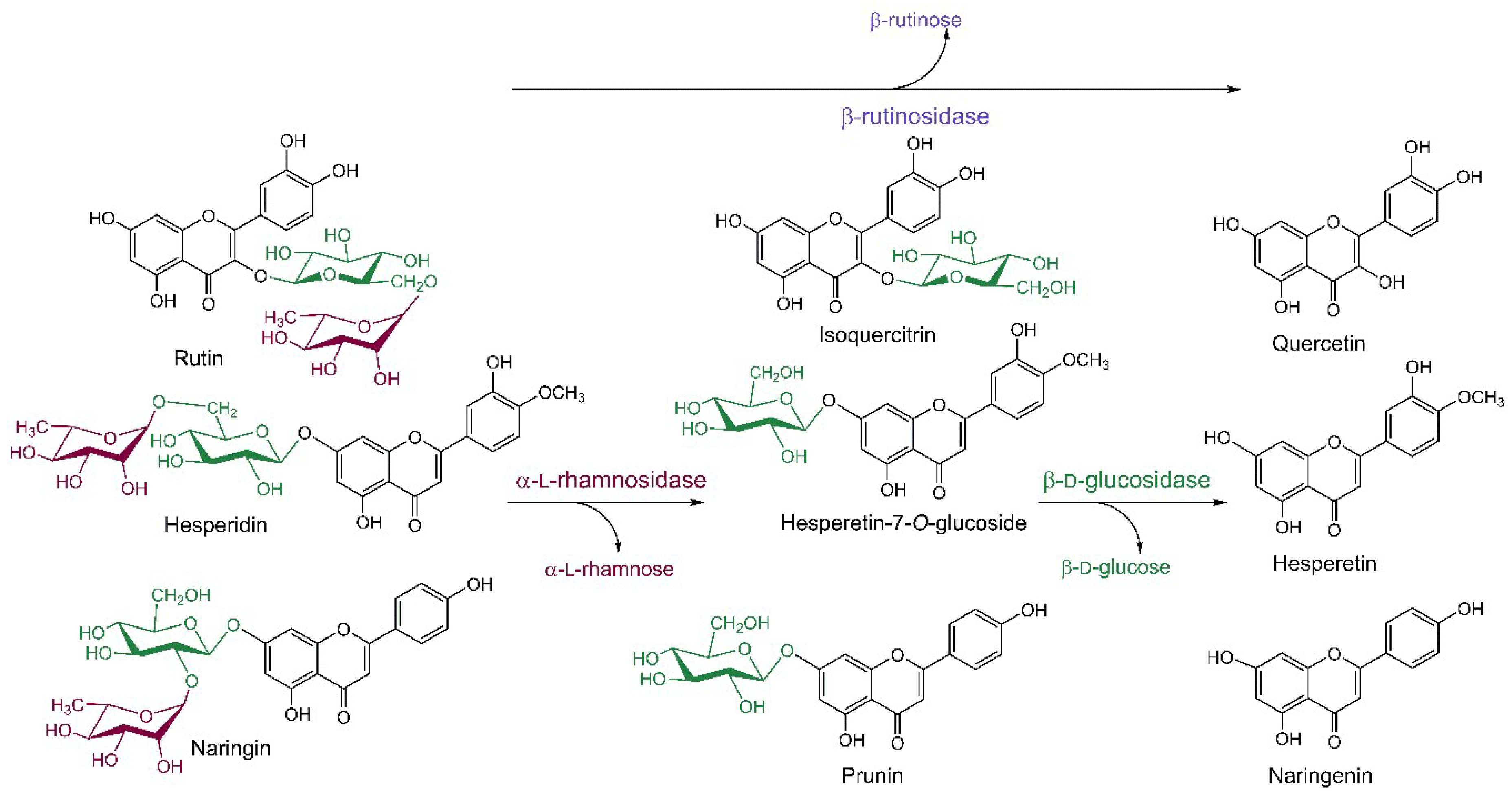 Ijms 19 02126 sch003