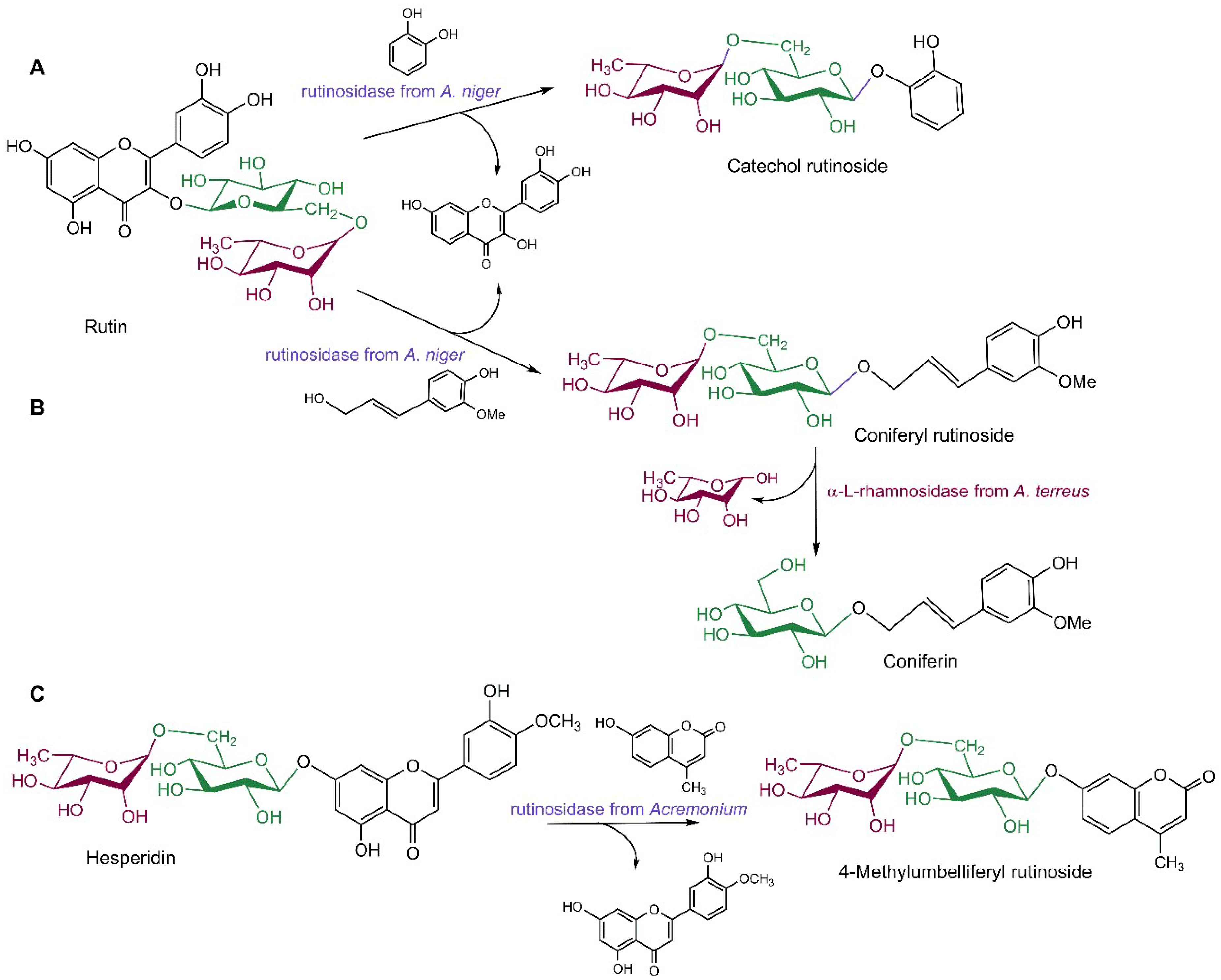 Ijms 19 02126 sch004