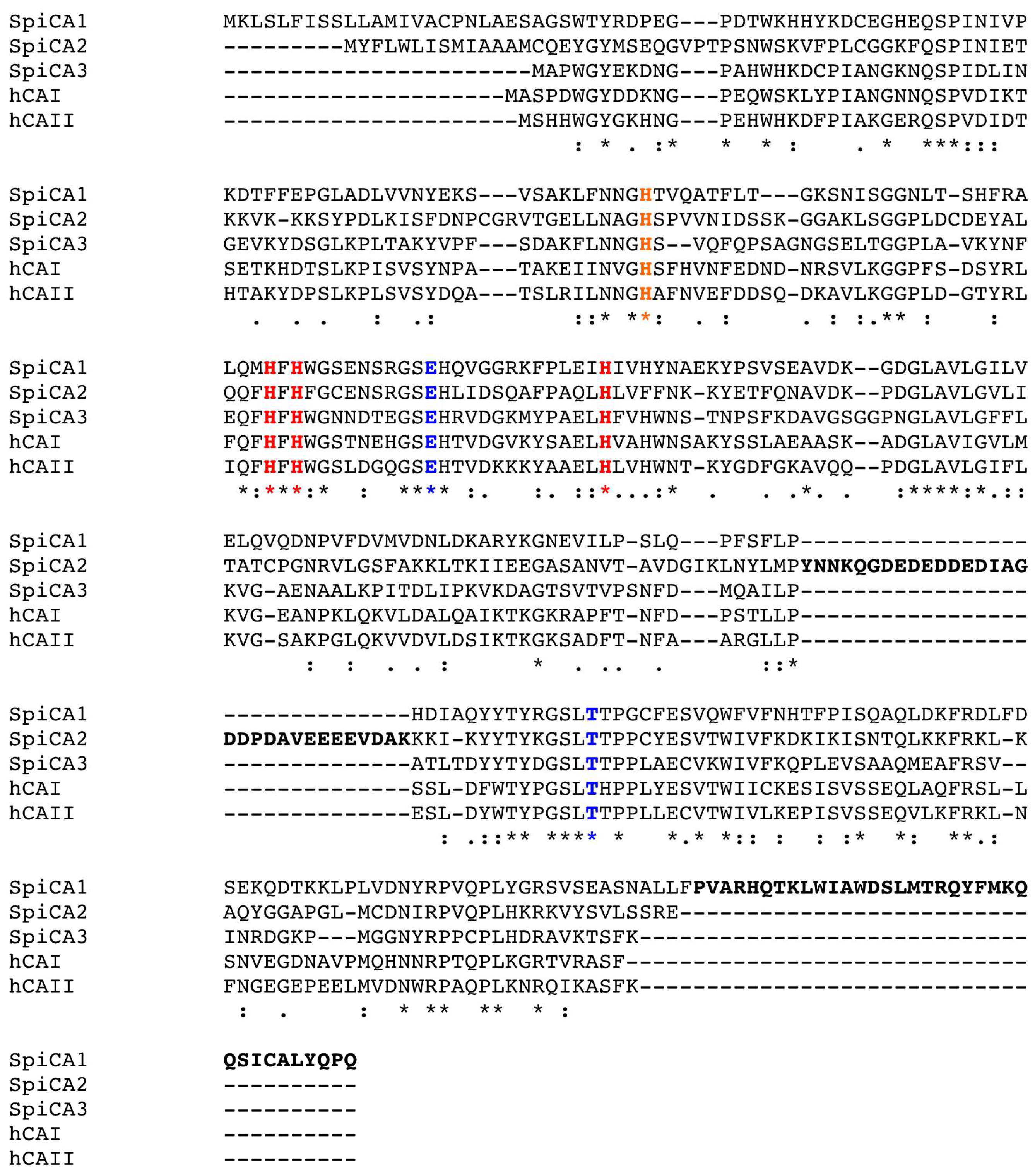 Ijms 19 02128 g002