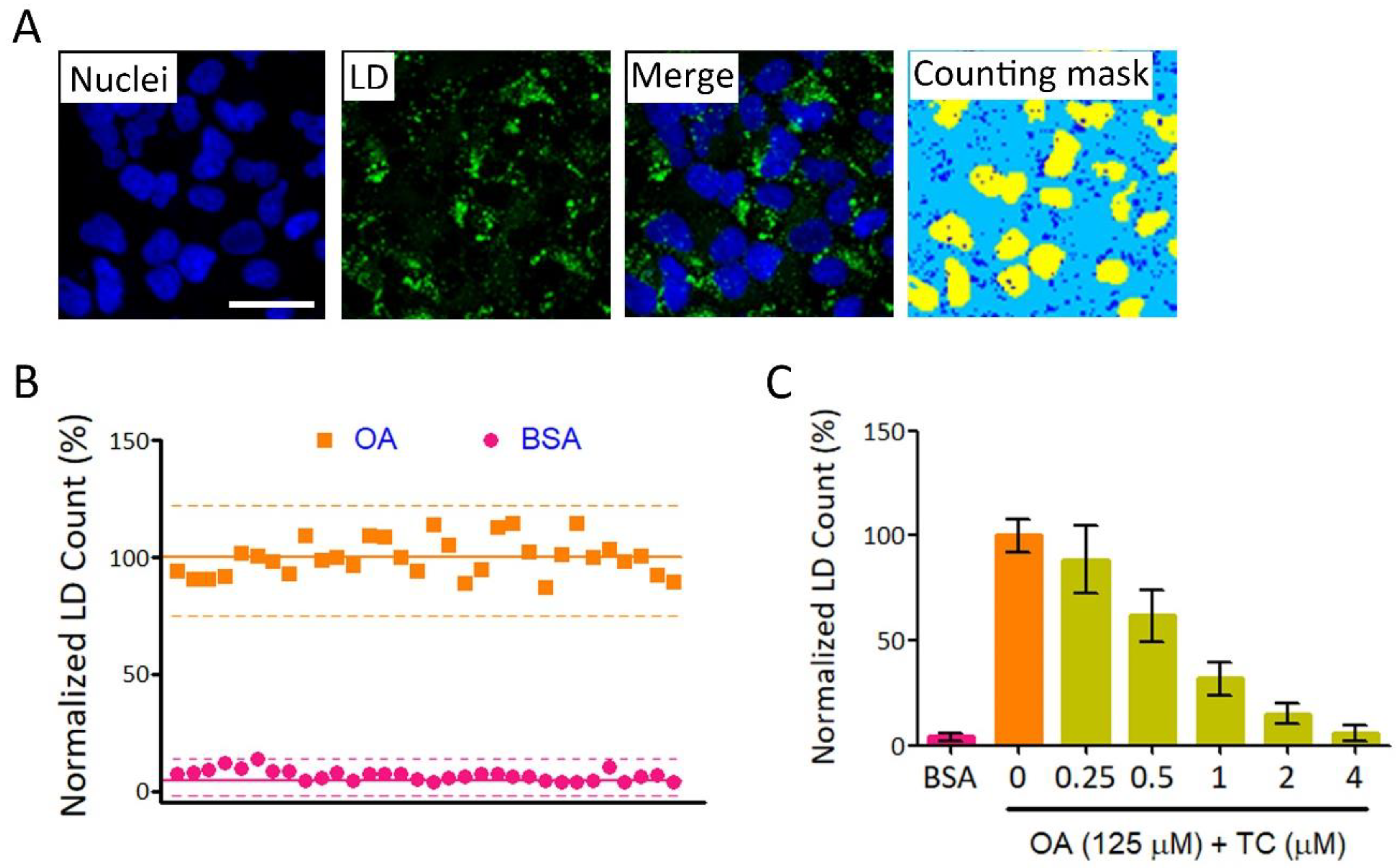 Ijms 19 02130 g001 Ijms 19 02130 g001